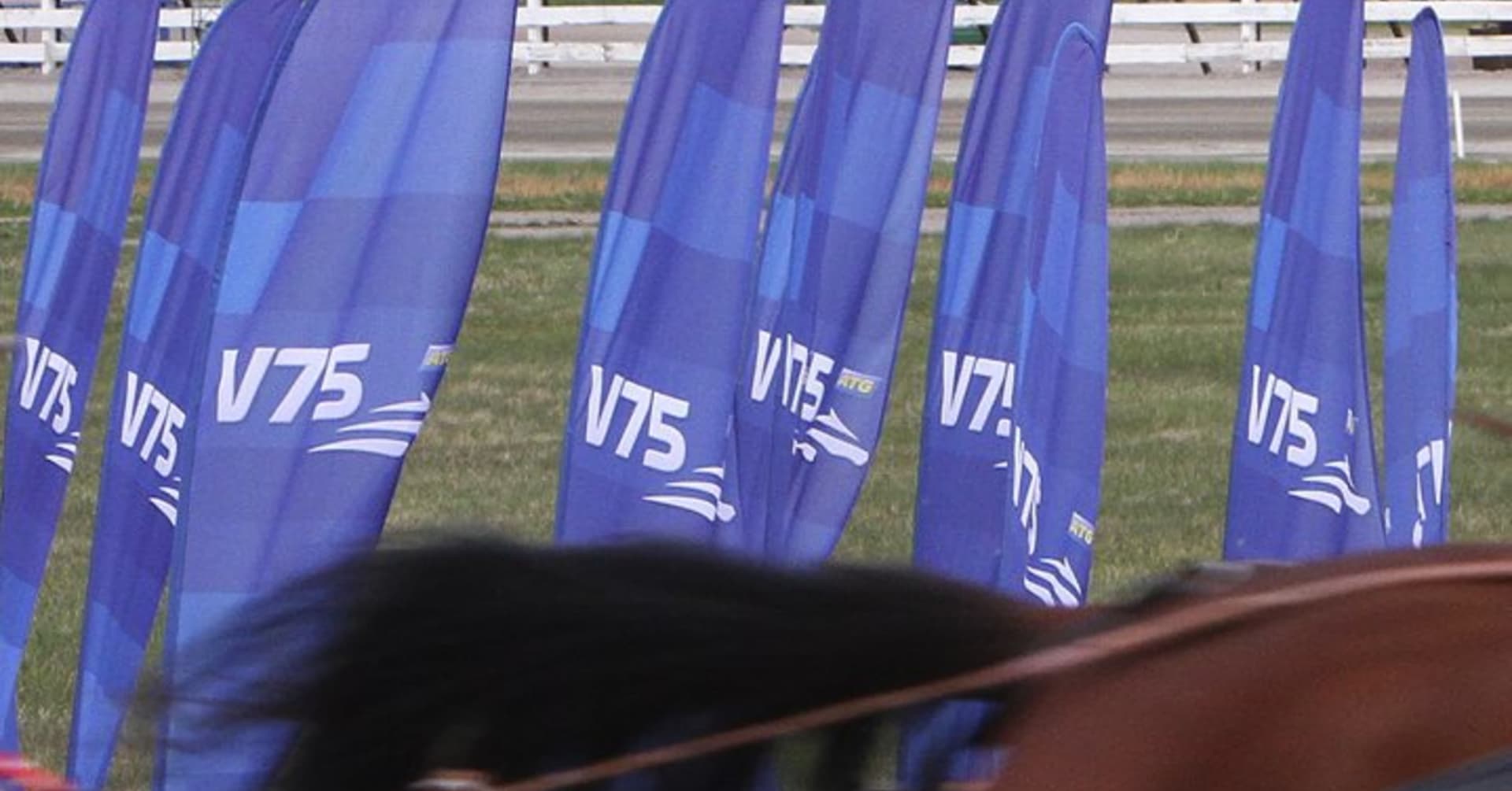 Sex V Strykningar Senaste Nyheterna Om Trav Travronden