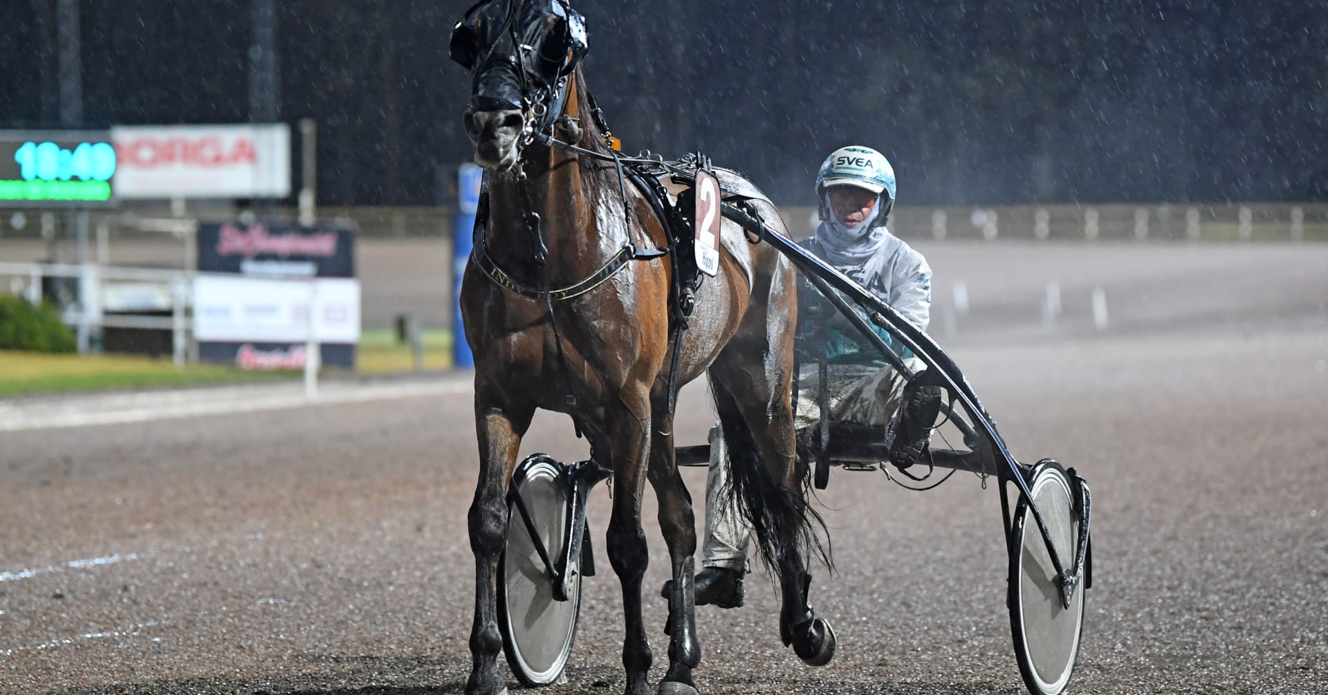 Axevallas sportchef Lars Ågren efter V85-tävlingarna · Senaste ...