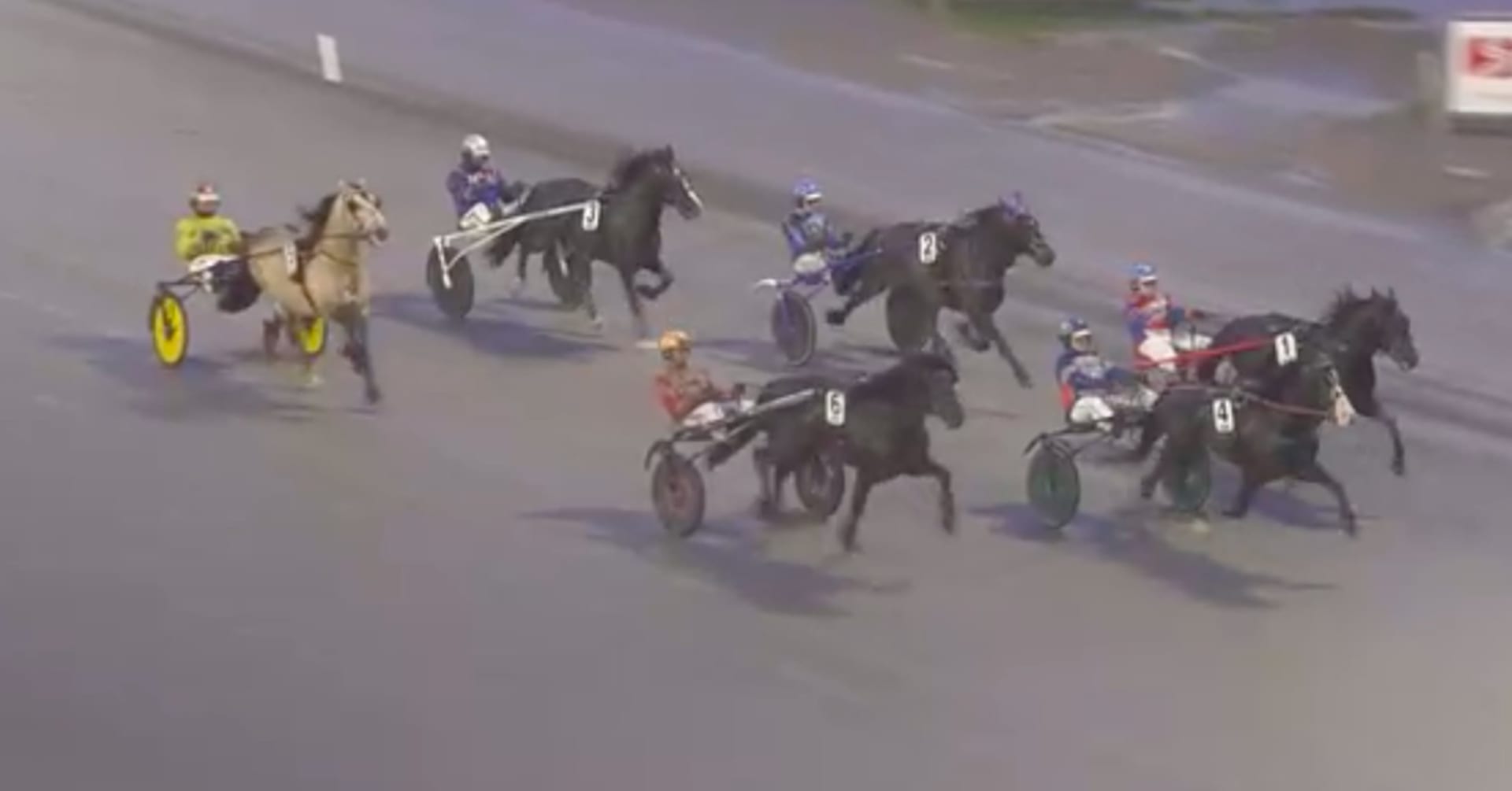 Galopp för Brenne Borken – men säker seger för Daim Brodda · Senaste ...