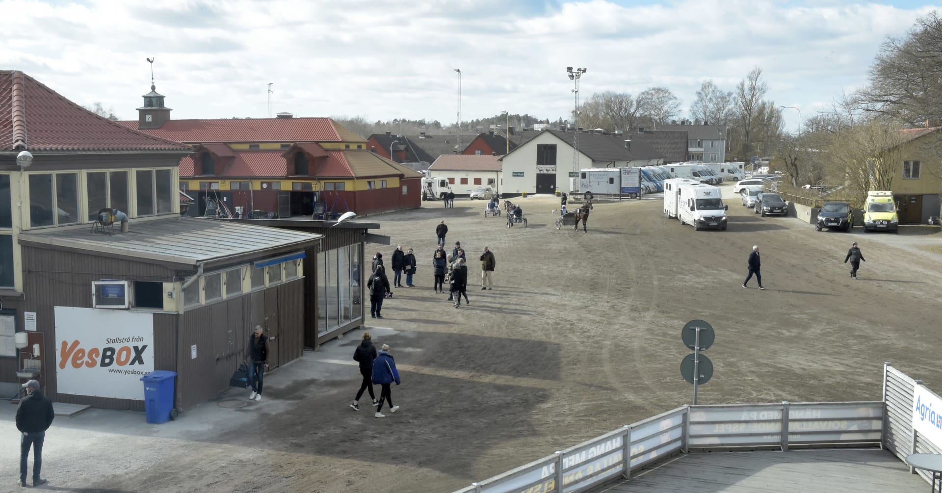 Elitauktionen till Solvalla · Senaste nyheterna om trav · Travronden