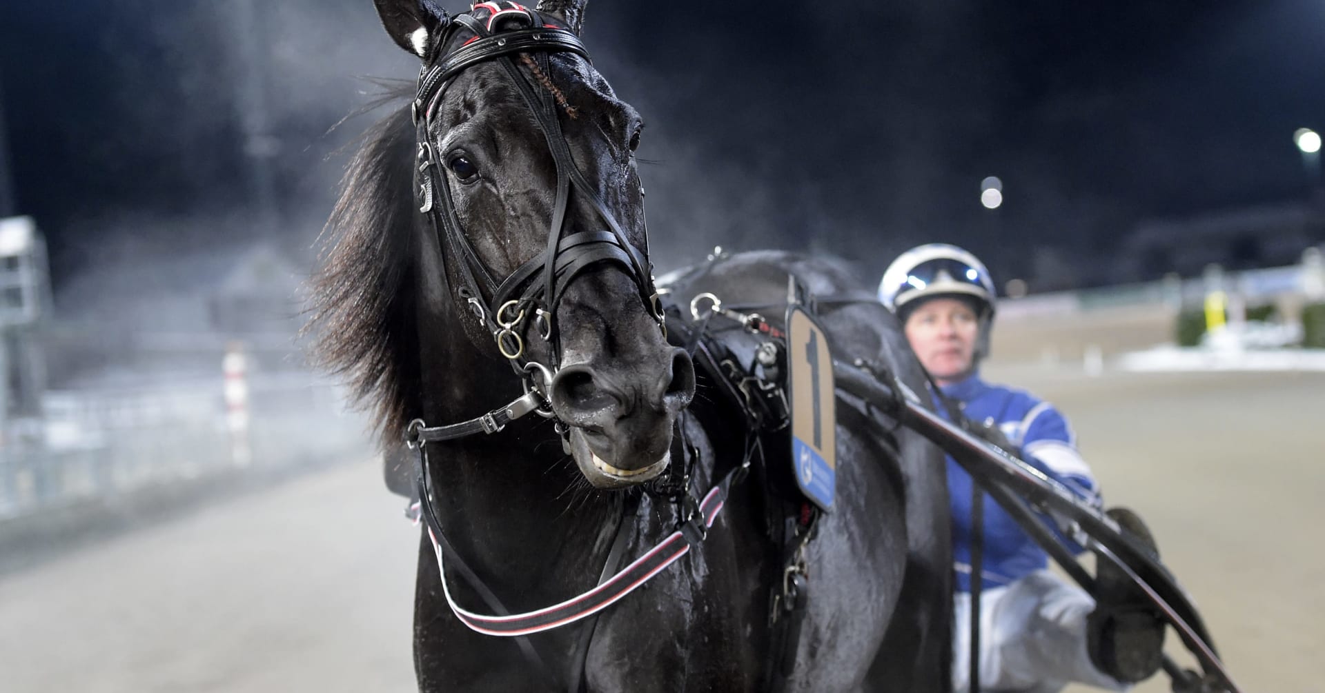 Här är hästarna i försök 2 till Elitloppet 2021 · Senaste ...