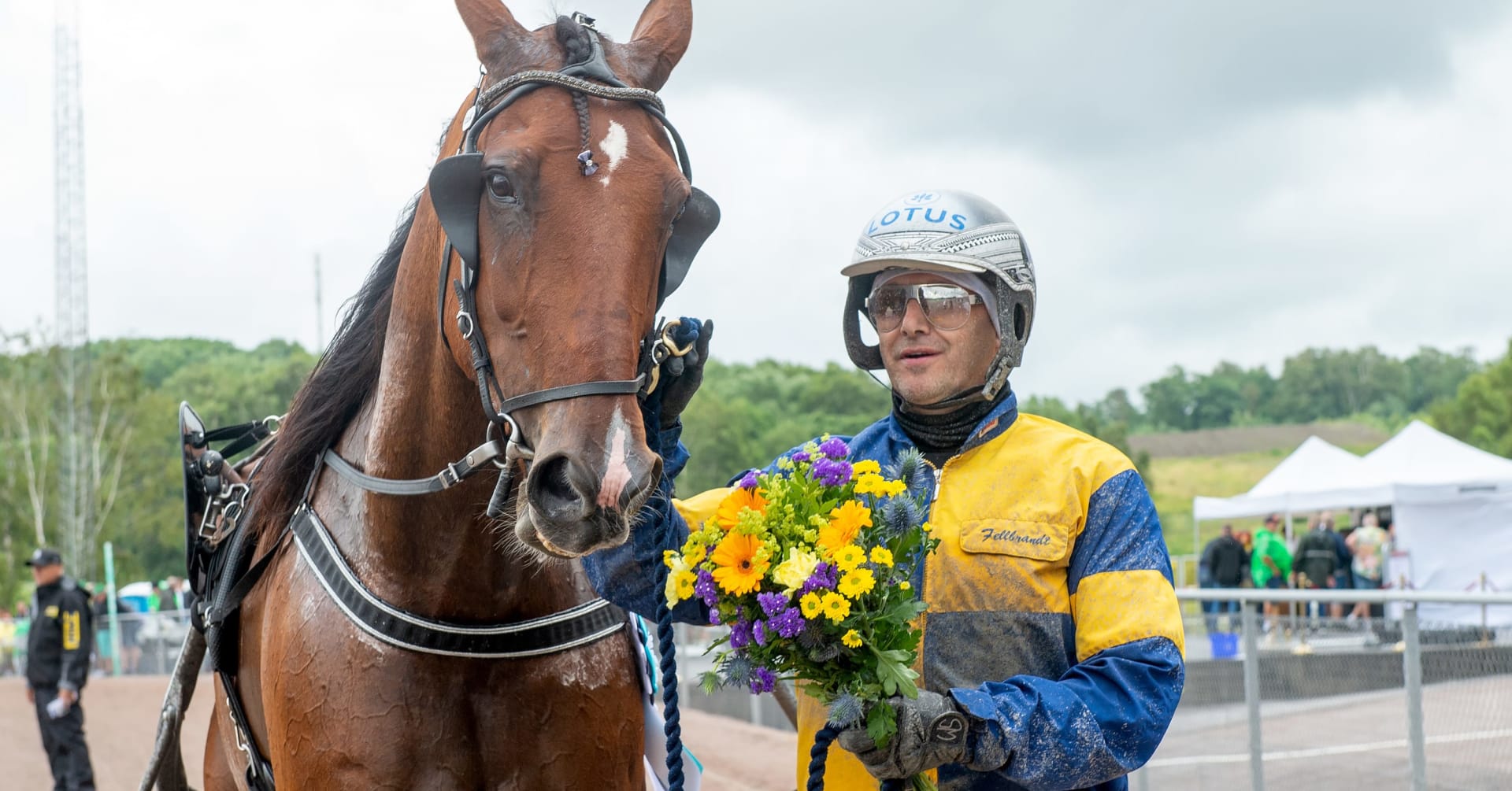 Segui V75 – Race to Race Ultime notizie sul trotto Canter Tour