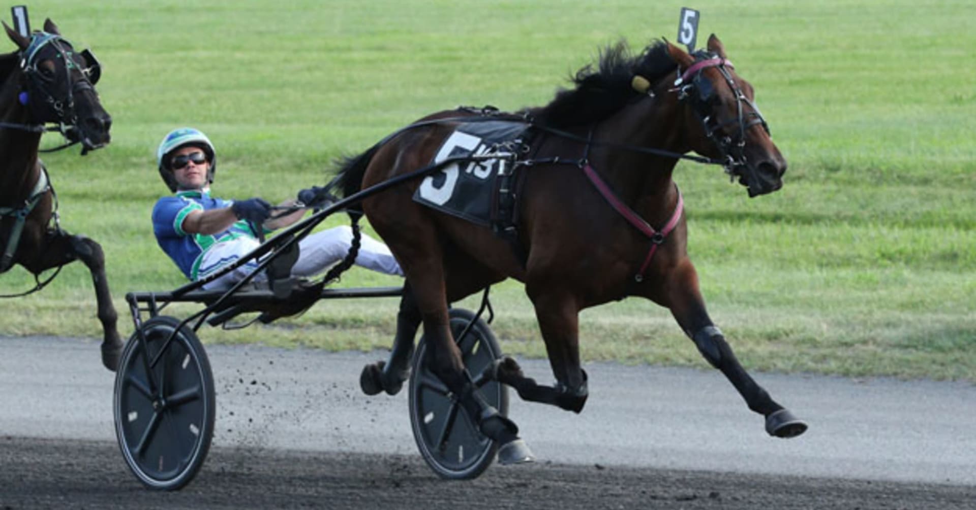 Instagram Model vann Jim Doherty Memorial · Senaste nyheterna om trav ...