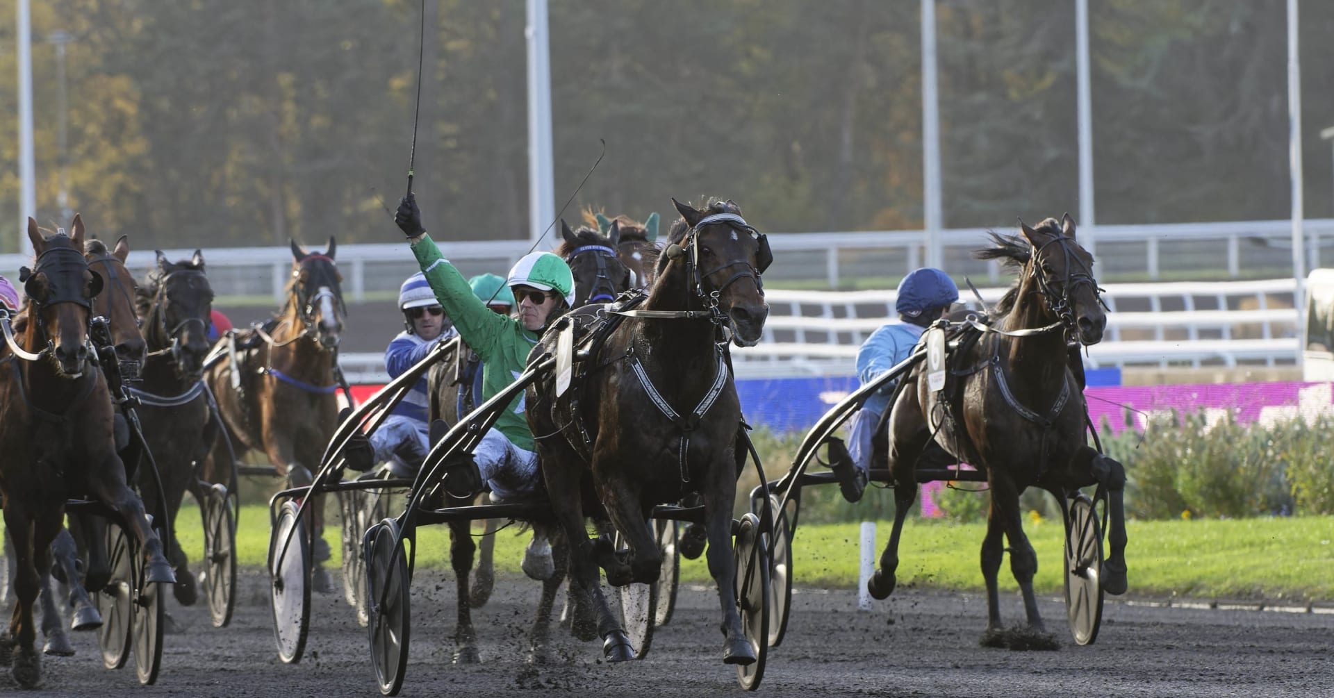 Hussard du Landret tog hem Prix de Bretagne · Senaste nyheterna om trav ...