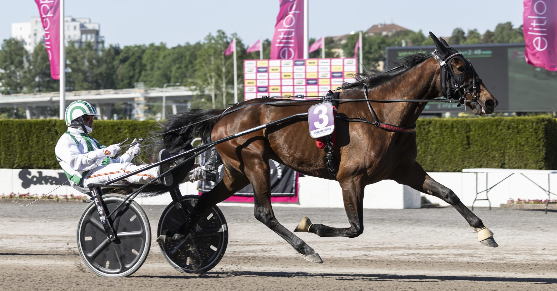 Daim Brodda tillbaka på V75 – superlopp väntar på Åby · Senaste ...