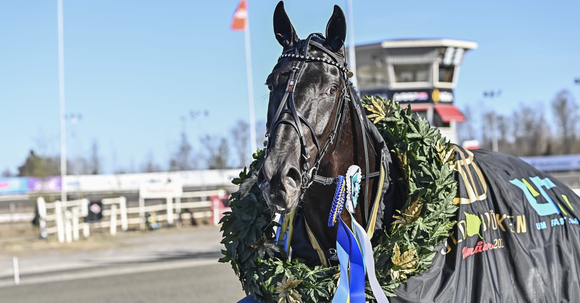 Stamtavlan: Borups Victory · Senaste nyheterna om trav · Travronden