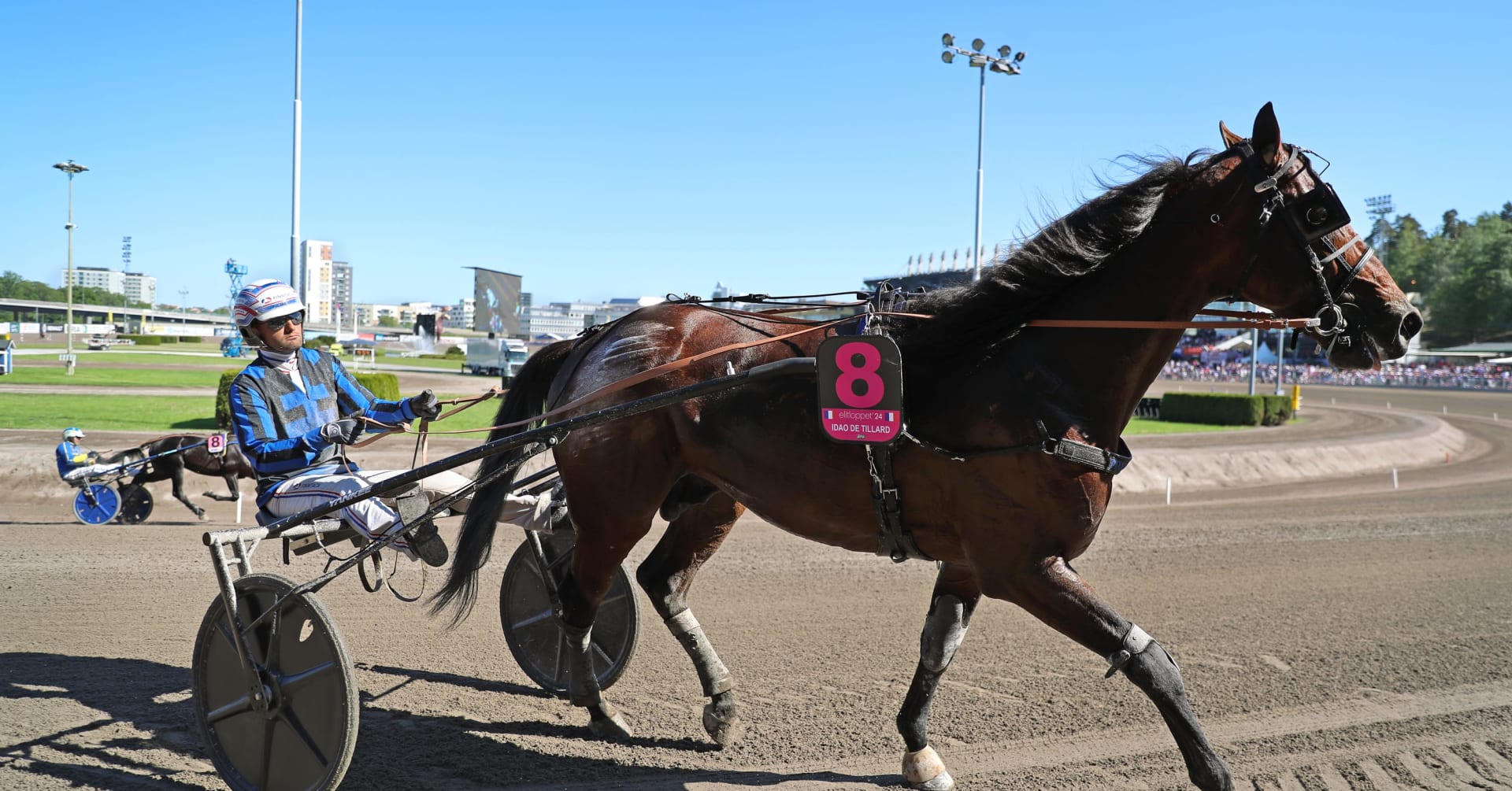 Drömlistan Elitloppet 2025 · Senaste nyheterna om trav · Travronden
