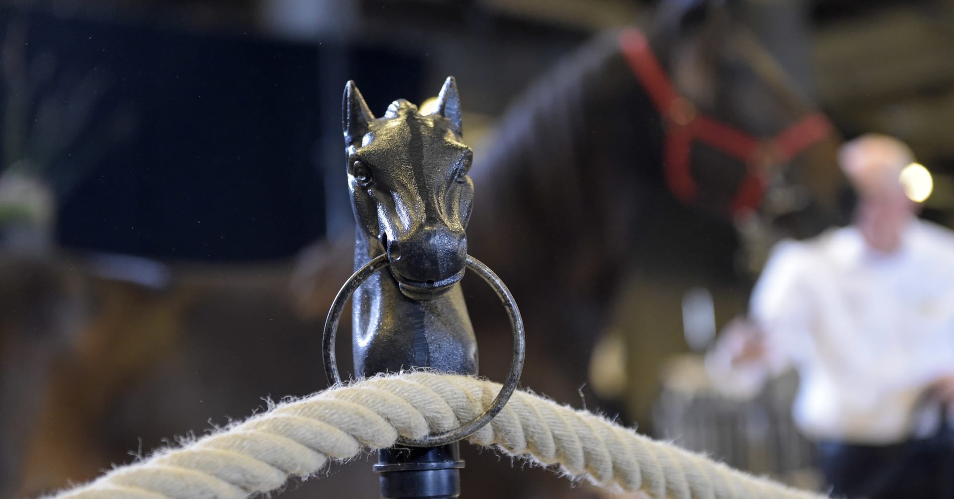 ITS Italian Trotting Sale Time tro Trotting Ultime Notizie tro Trotting Round