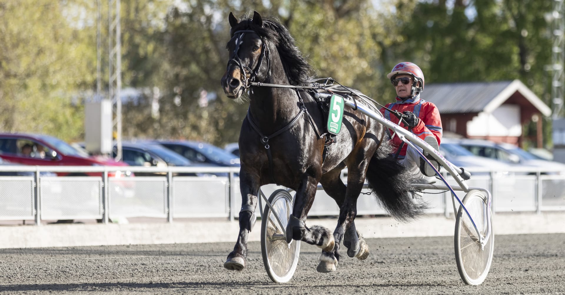 Dubbelseger för Gunnar Melander i Bollnäs · Senaste nyheterna om trav ...