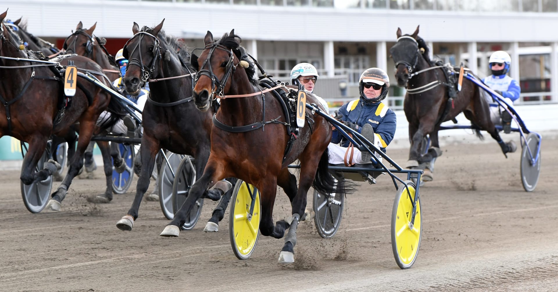 Click Bait klar för Elitloppet 2021 · Senaste nyheterna om ...