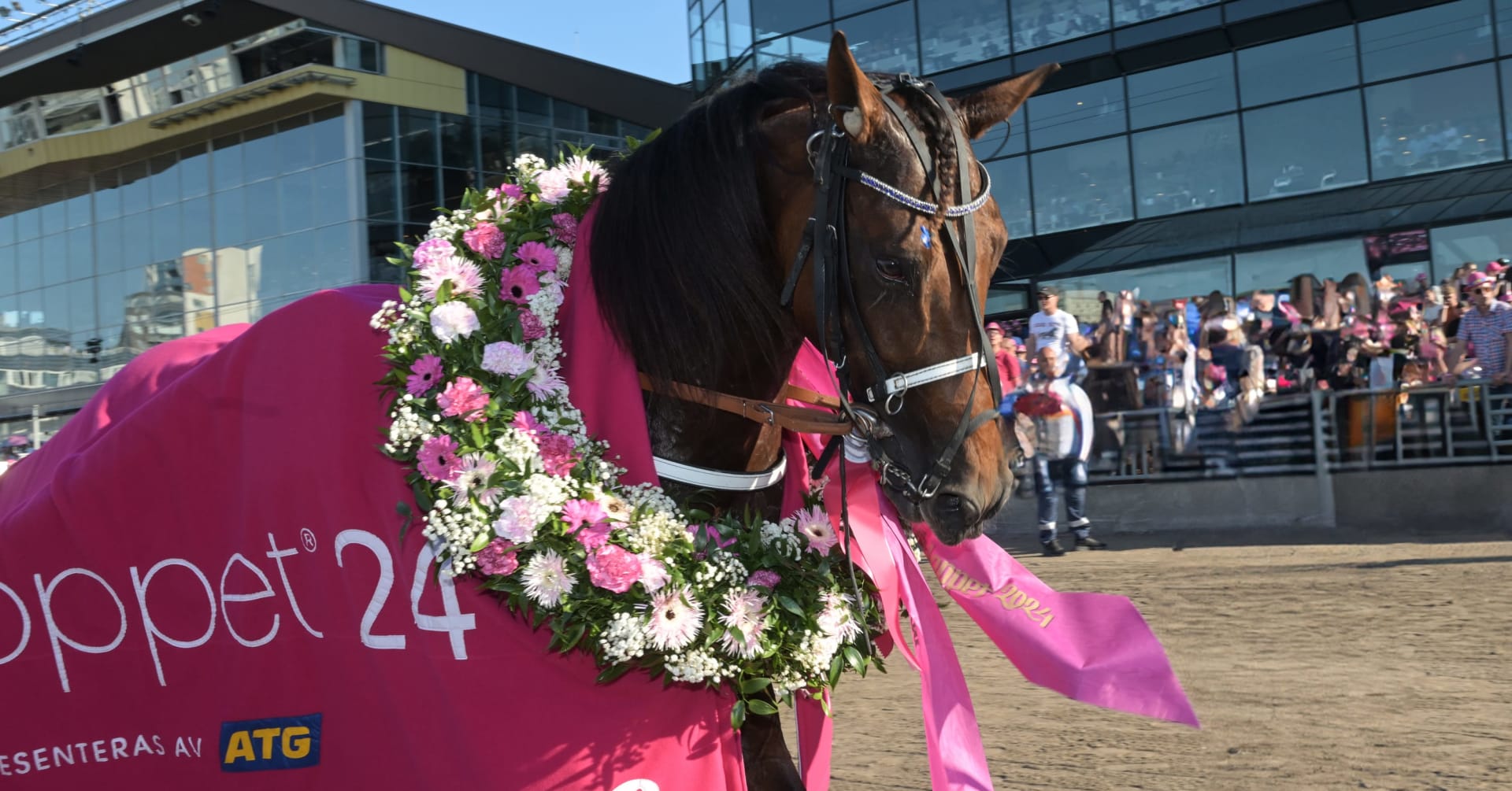 Horsy Dream favorit till Elitloppet 2025 · Senaste nyheterna om trav