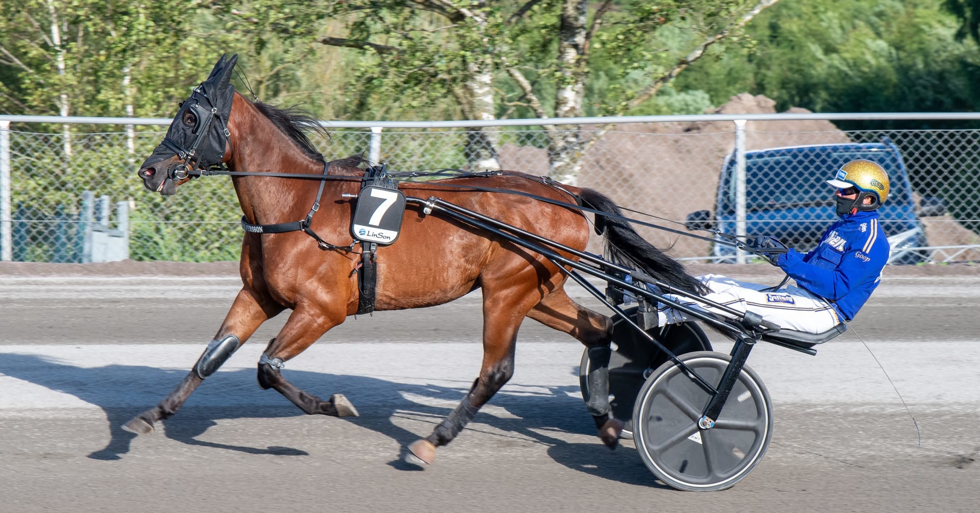 David Persson sugen på nya V75segrar · Senaste nyheterna om trav
