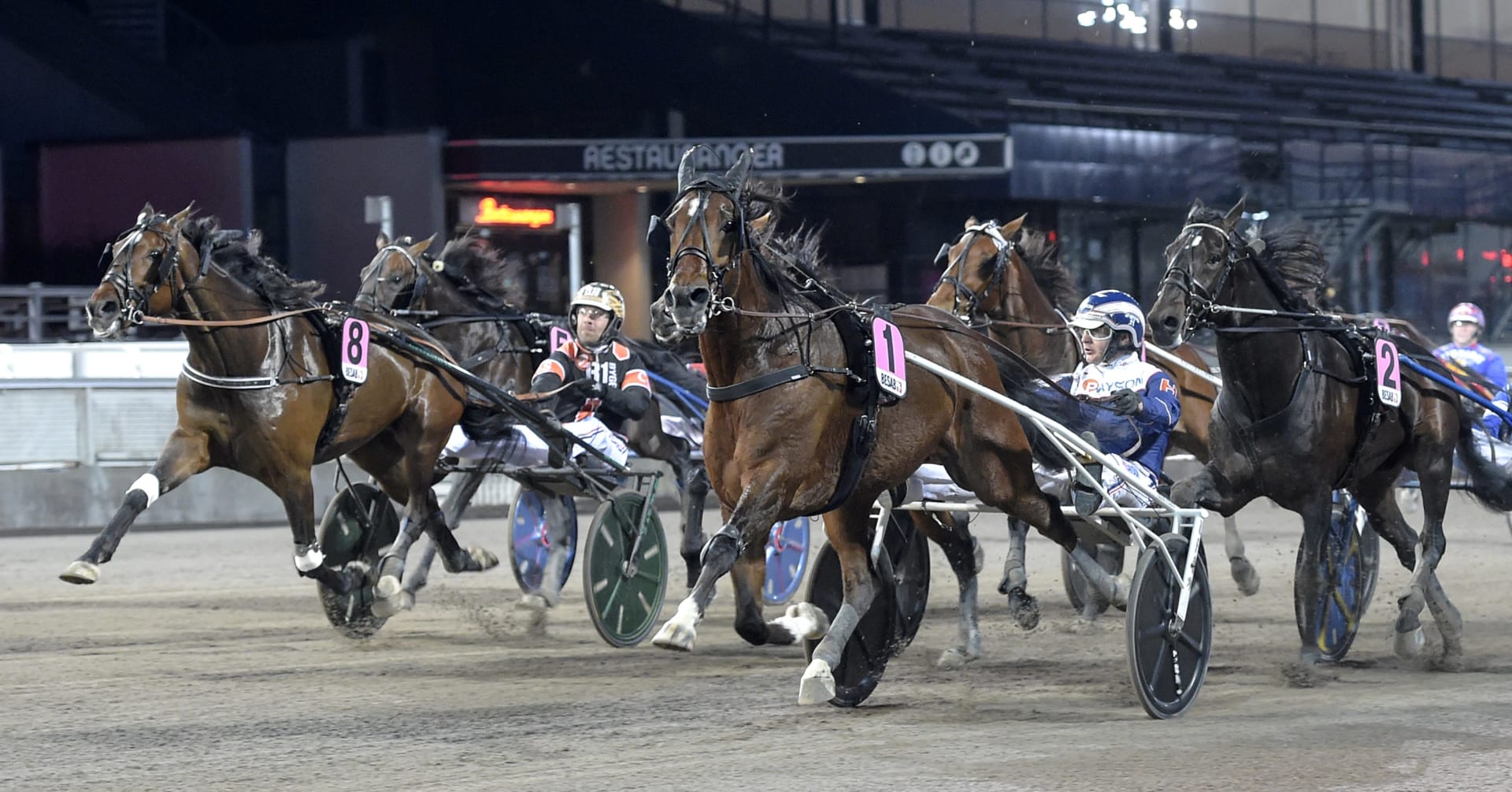 Heavy Sound kvalificerade sig till Elitloppet · Senaste ...