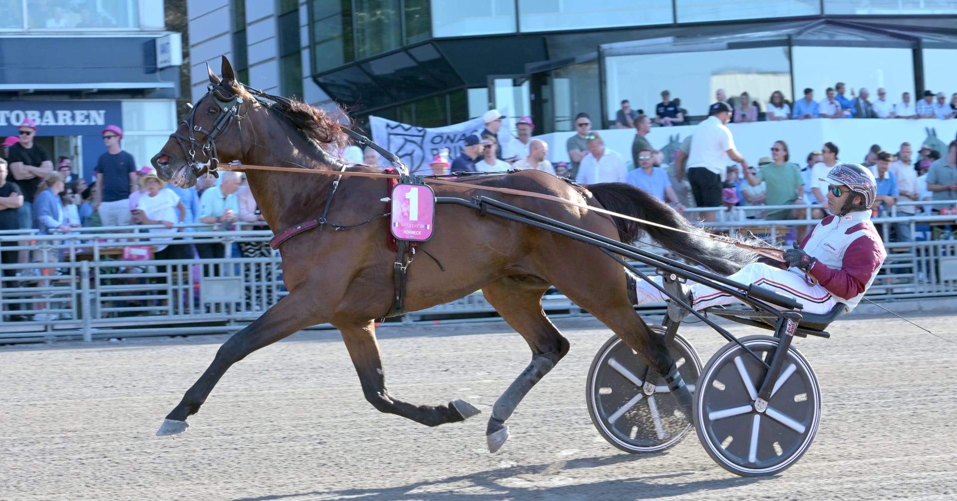 Les étalons français les plus populaires en 2024 · Dernières actualités des courses attelées · La manche des courses attelées