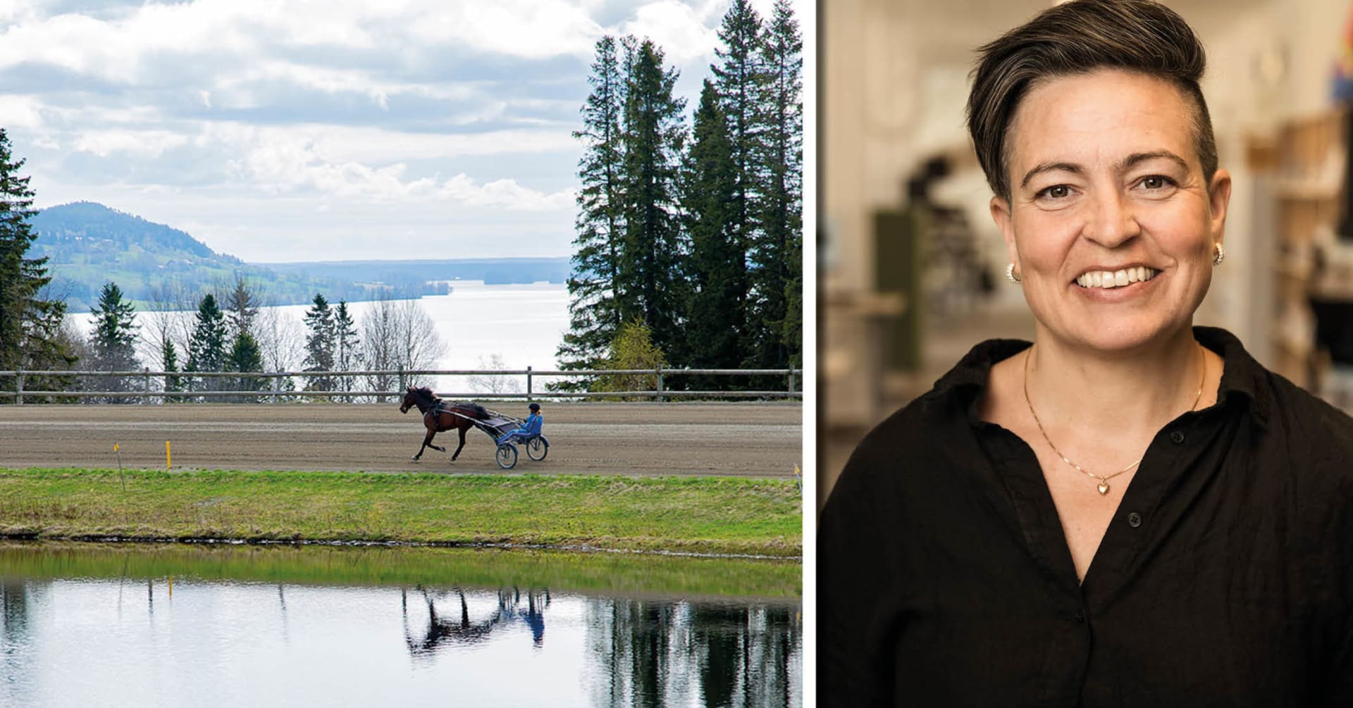 Wången får ny vd från 2025 · Senaste nyheterna om trav · Travronden