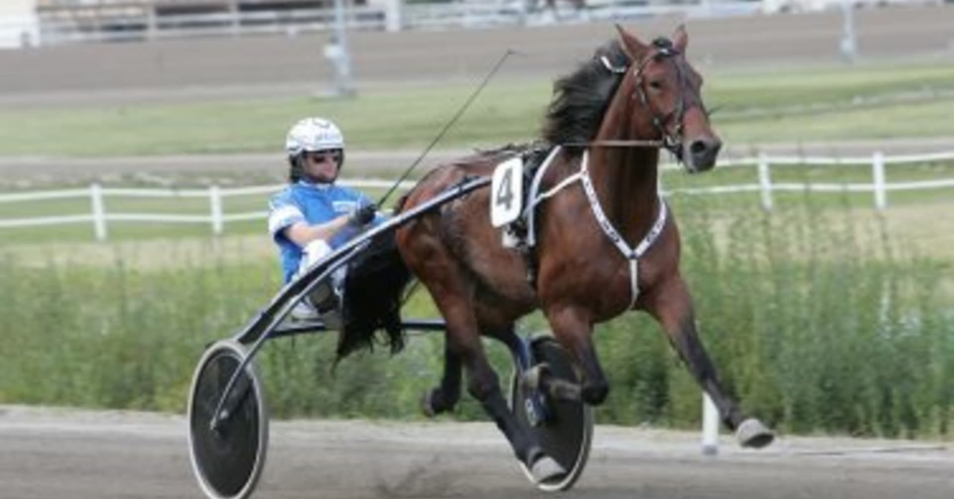 Pekka i Sprintermästaren? · Senaste nyheterna om trav · Travronden