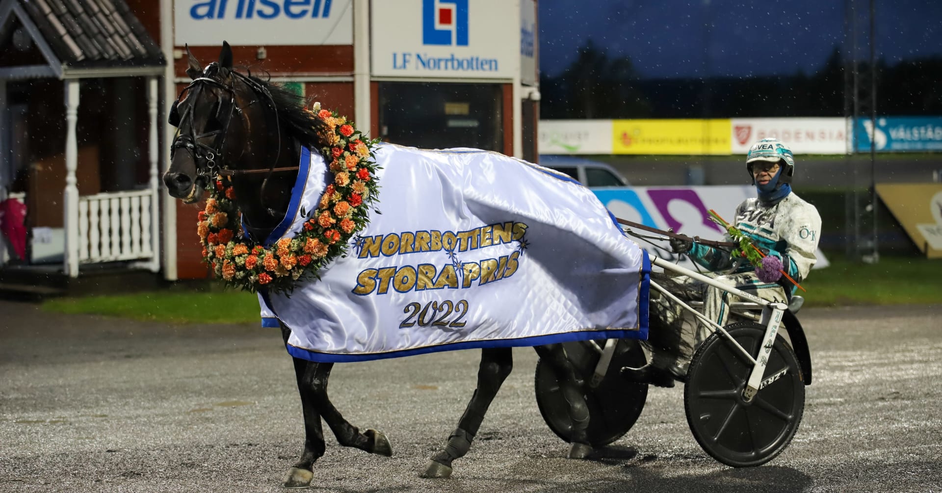 Don Fanucci Zet took revenge · Latest news about trotting · The trotting round