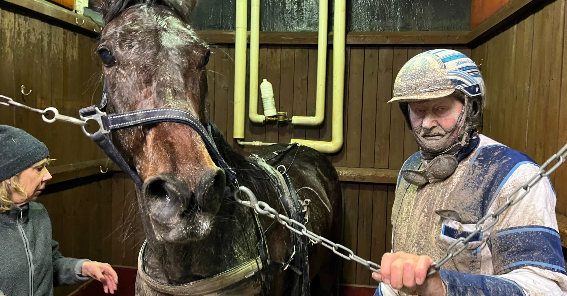 Så gick snacket på Solvalla och Åby · Senaste nyheterna om trav ...