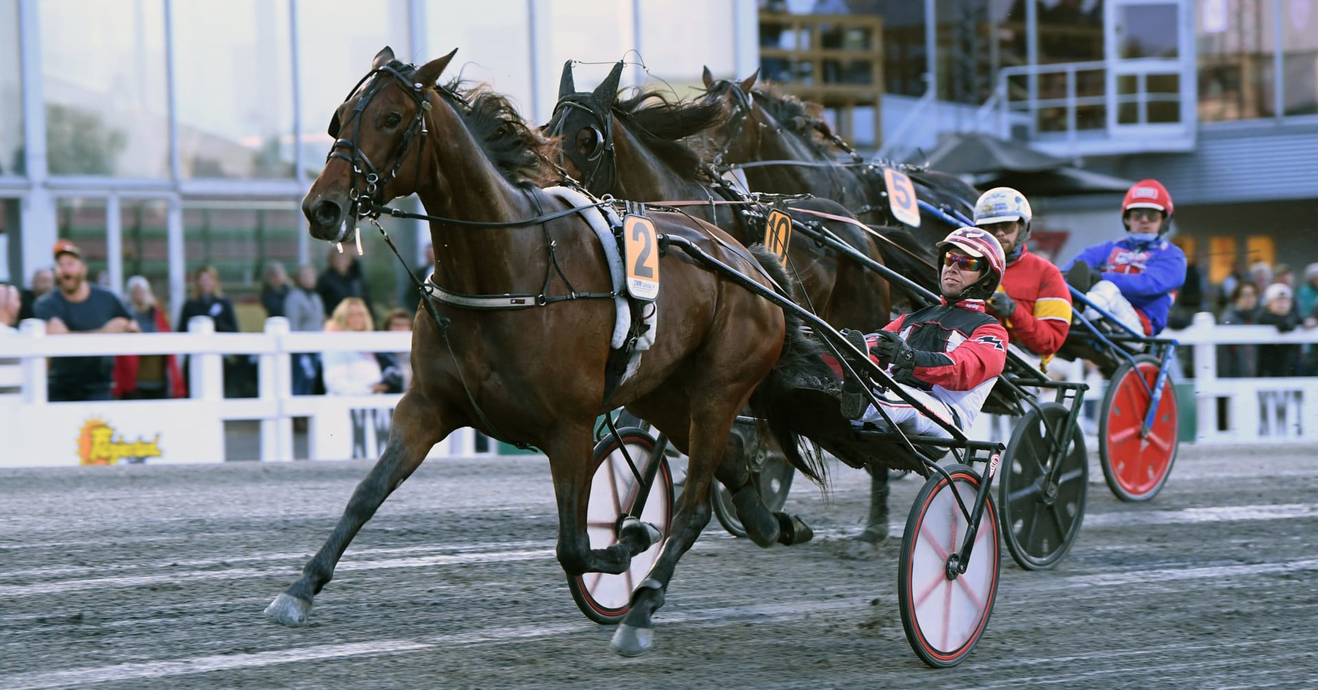 Per K Eriksson om Lozano di Quattro inför V86 · Senaste nyheterna om trav · Travronden