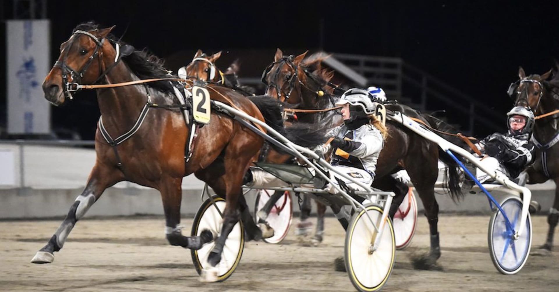 Svenska hästar firar midsommar i Frankrike · senaste ...