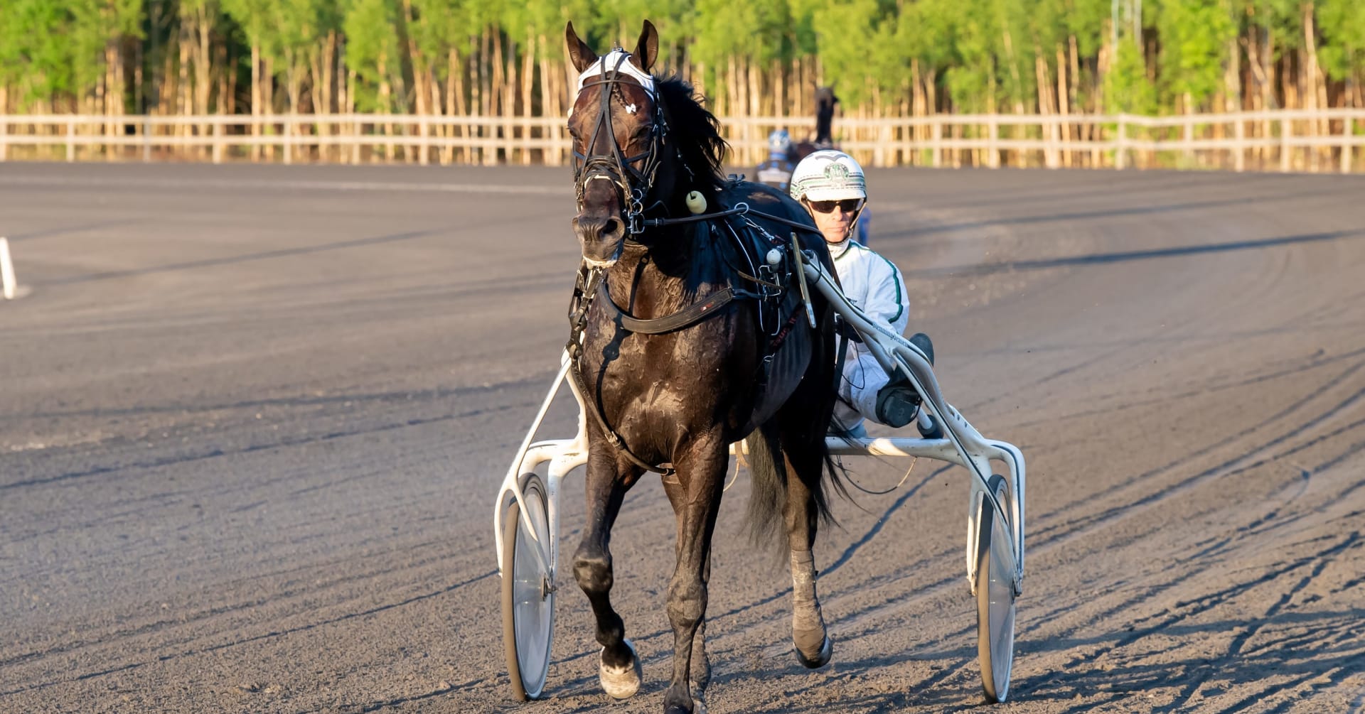 Här är startspåren i Yonkers International Trot · Senaste nyheterna om