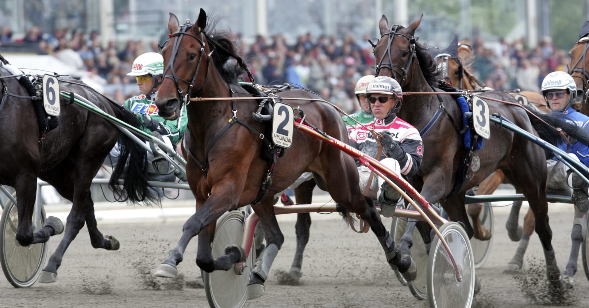 Butterfly Player är död · Senaste nyheterna om trav · Travronden