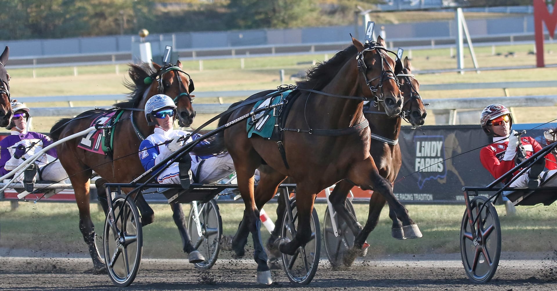 Hambletonian-finalisten Maximus Mearas gaffelbandsskadad