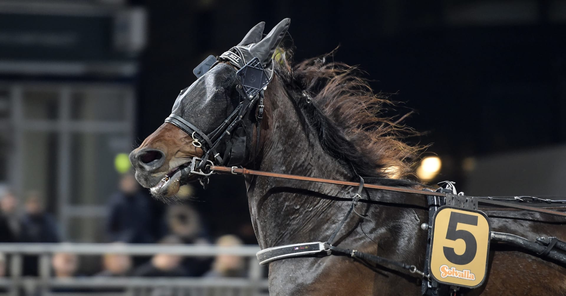 Brother Bill till Elitloppet · Senaste nyheterna om trav · Travronden