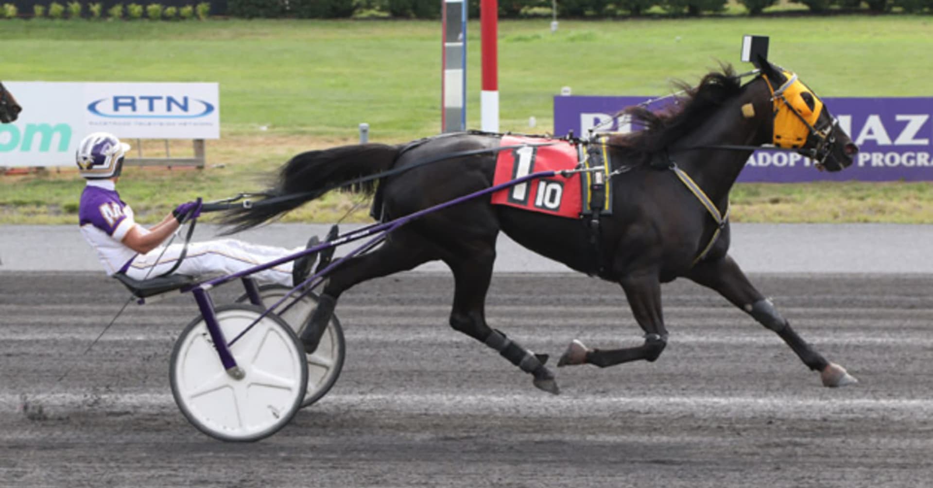 M-M’s Dream vann John R. Steele Memorial · Senaste nyheterna om trav ...