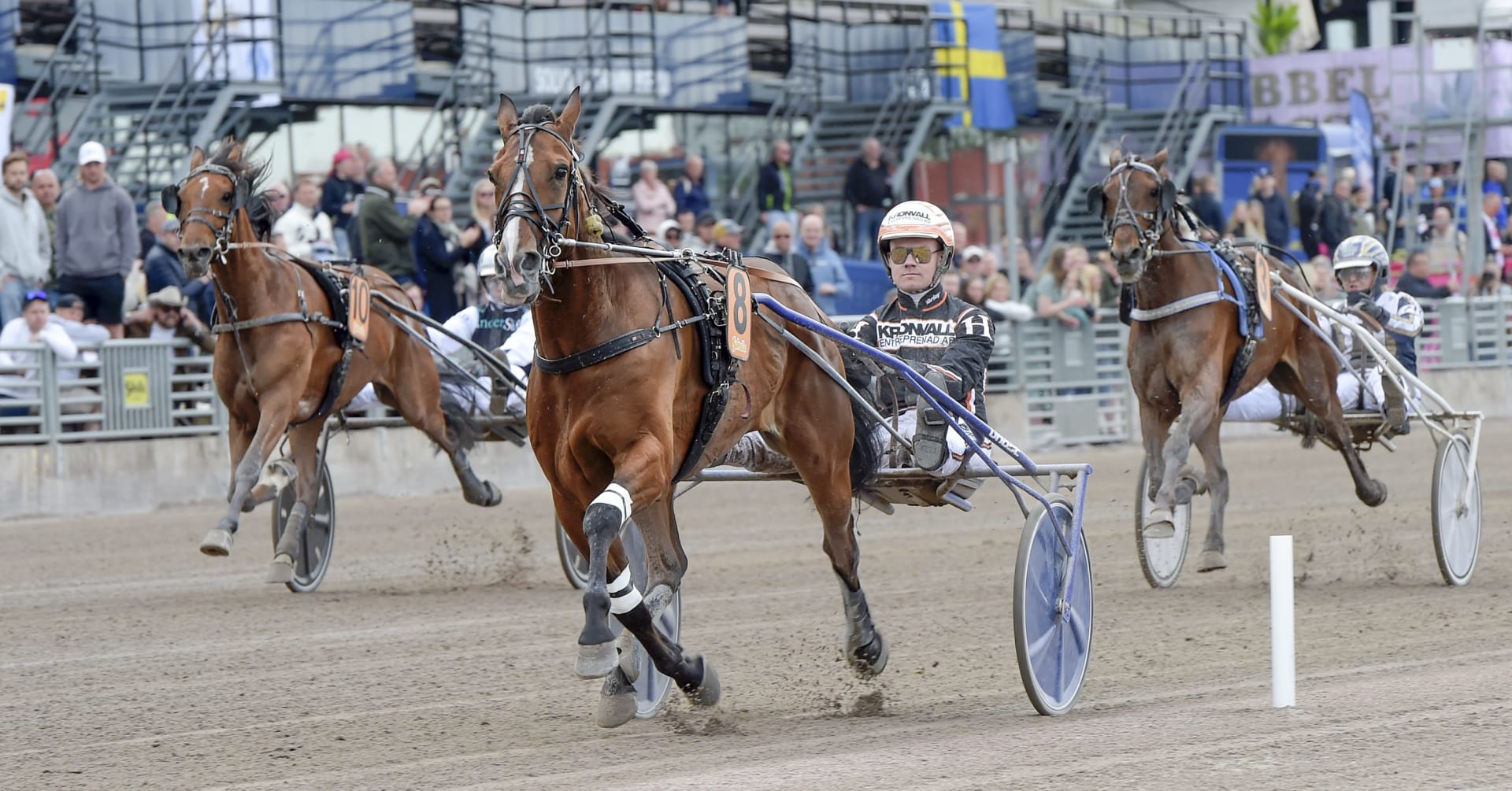 DH スポーツ アイアン 4 頭の馬 · 速歩に関する最新ニュース · 速歩ラウンド