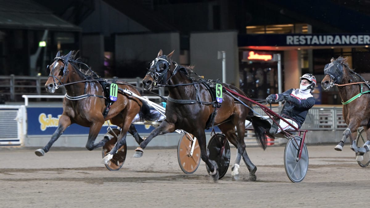 Bild: LARS JAKOBSSON / TR BILD.