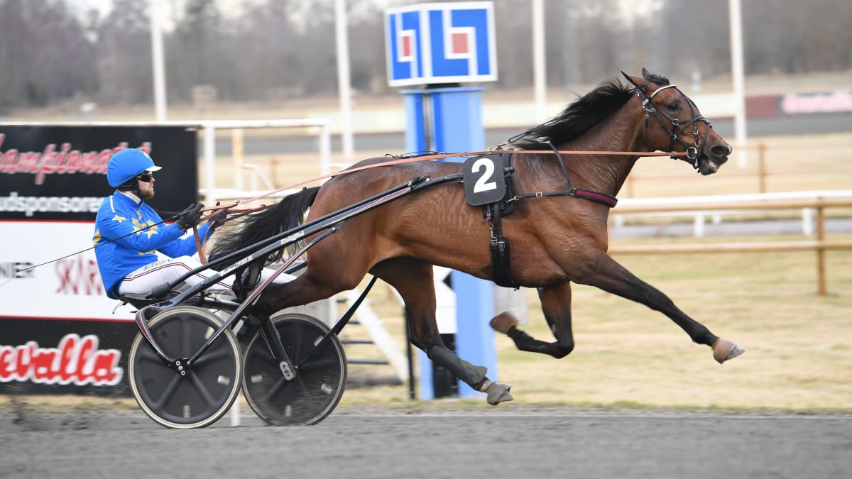 Gudrid Face vid V75-segern nyligen. Bild: TR BILD.