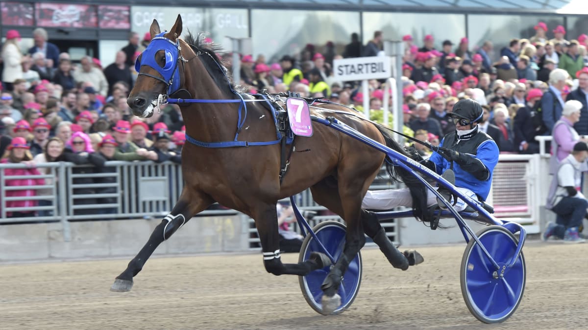 Bild: LARS JAKOBSSON / TR BILD.