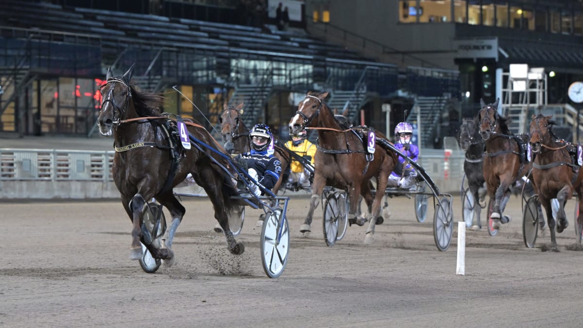 Bild: LARS JAKOBSSON / TR BILD.