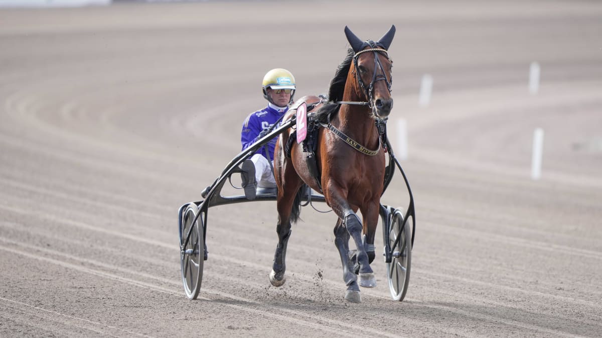 Bild: THOMAS BLOMQVIST / TR BILD.