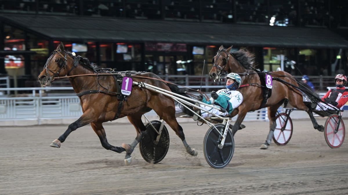 Bild: LARS JAKOBSSON / TR BILD.