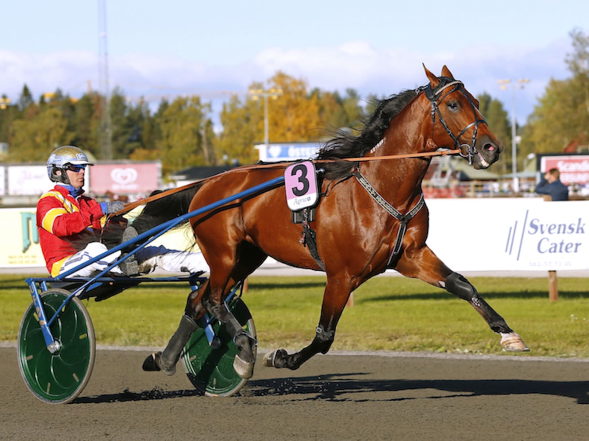 Nitlott för Readly Express · Senaste nyheterna om trav · Travronden