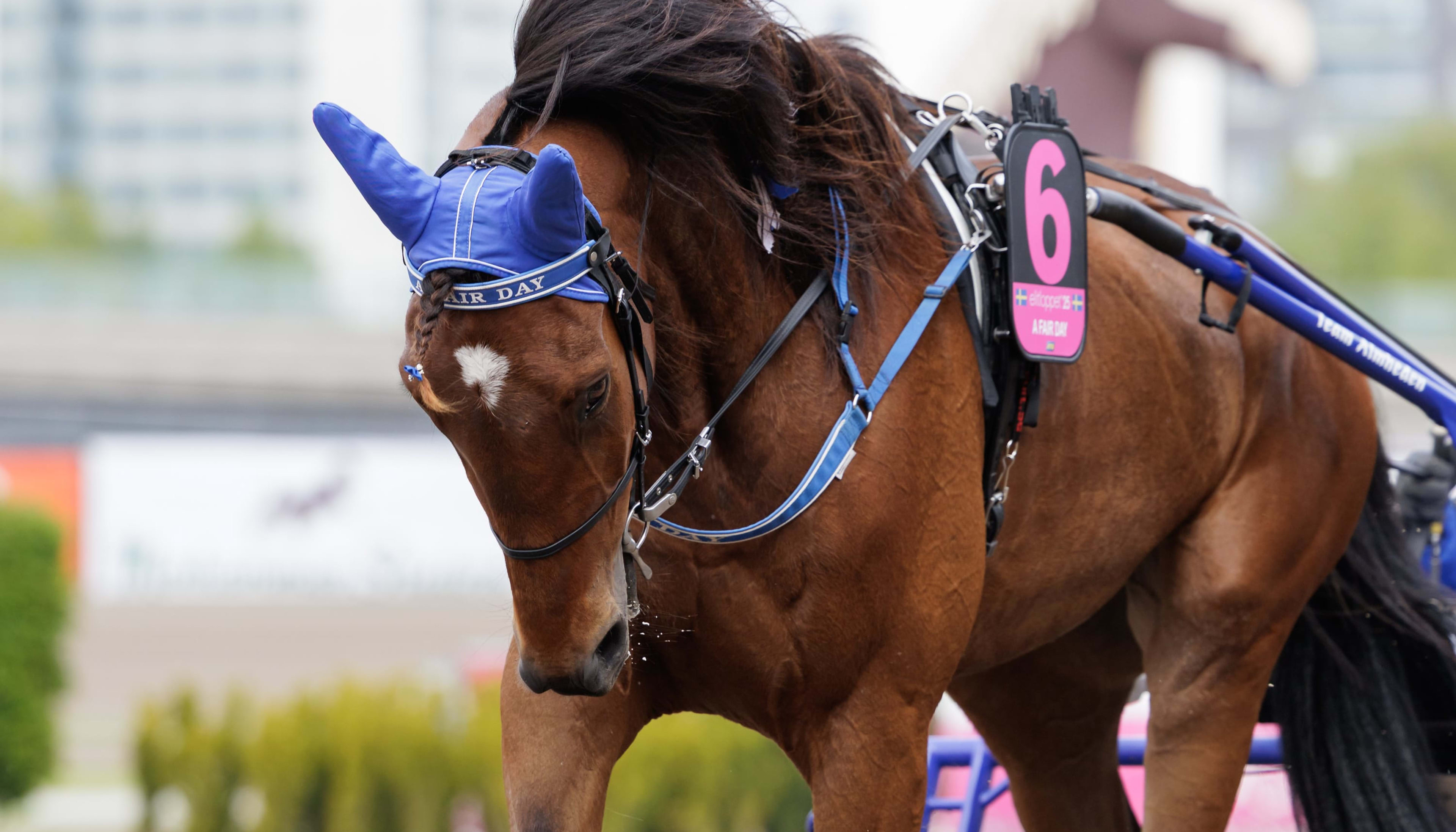 Foto: LENA EMMOTH / TR BILD
