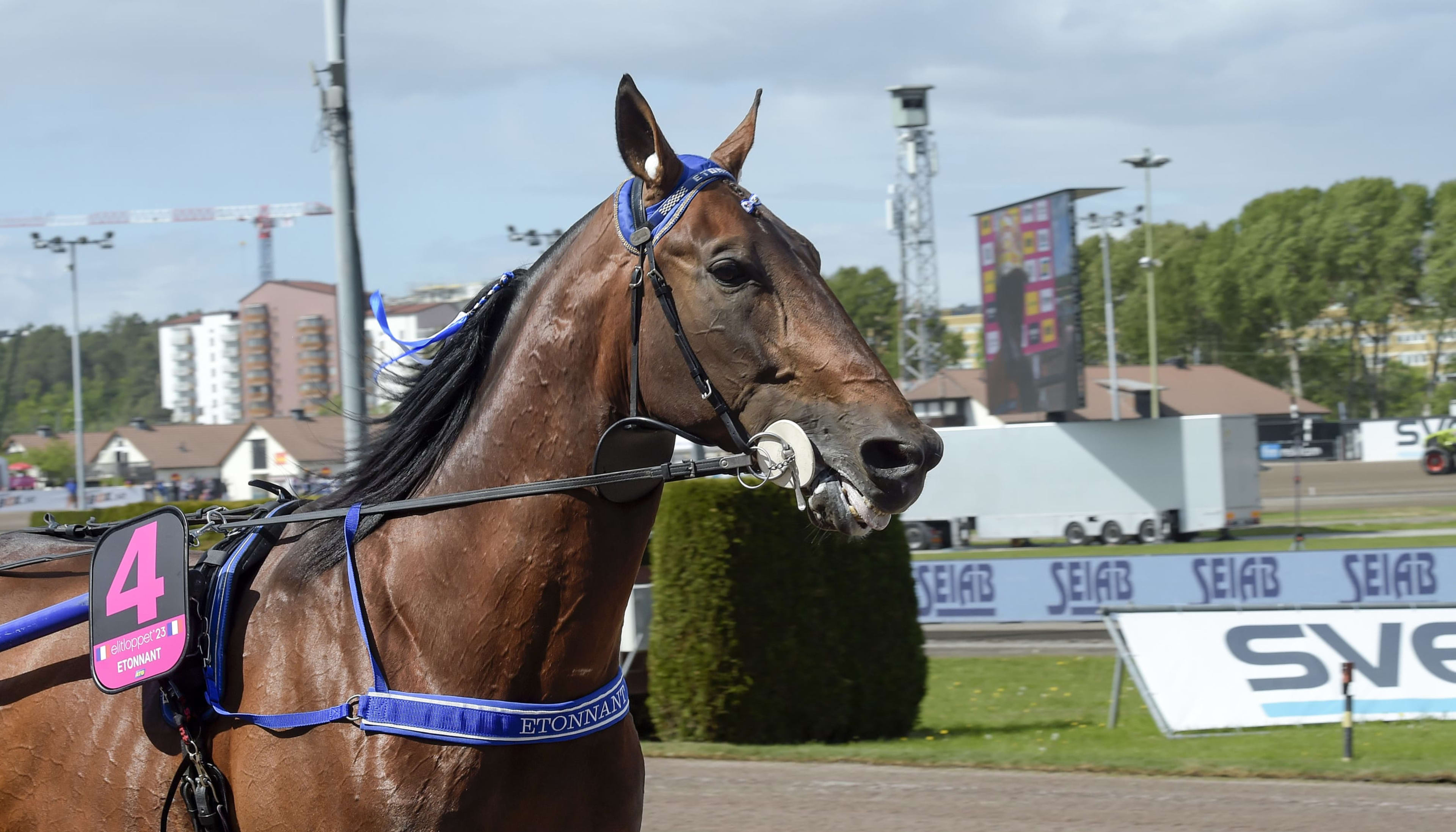 Foto: LARS JAKOBSSON / TR BILD