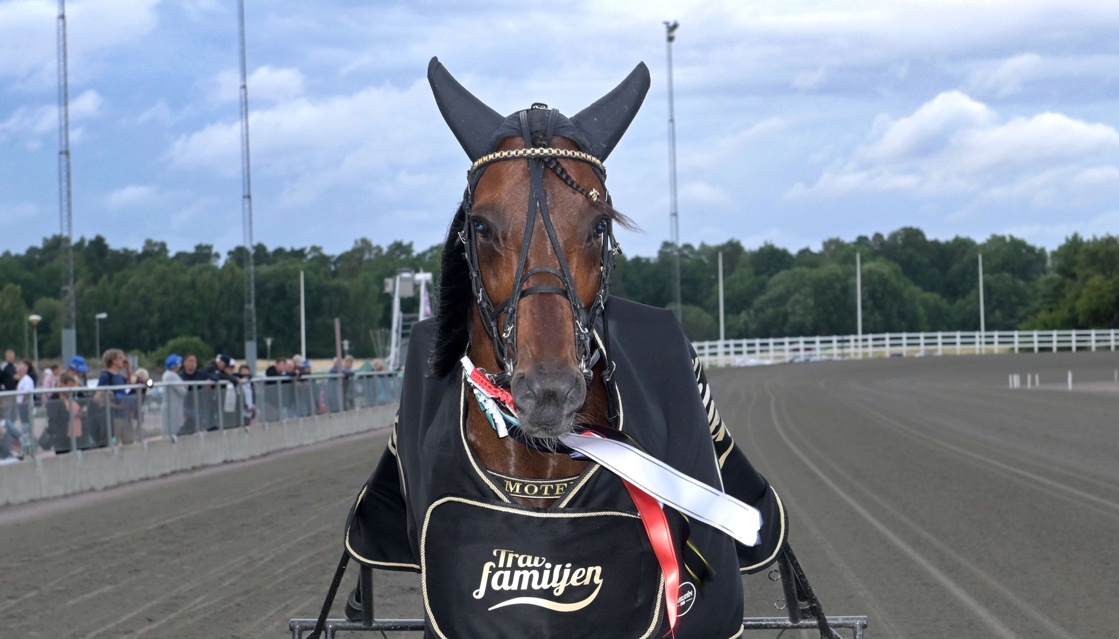 Foto: LARS JAKOBSSON/TR BILD