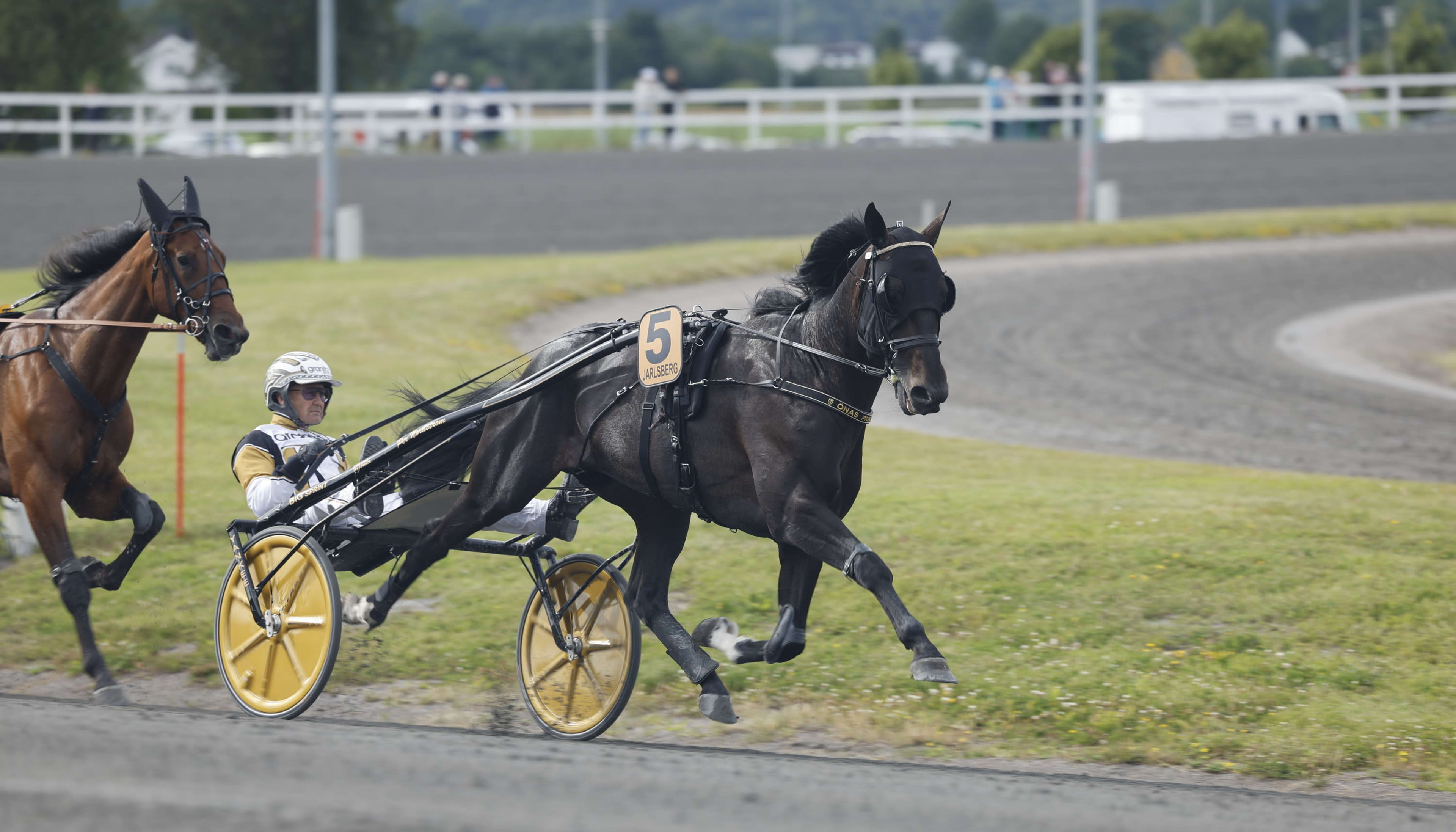 Foto: ROGER SVALSRÖD/HESTEGUIDEN