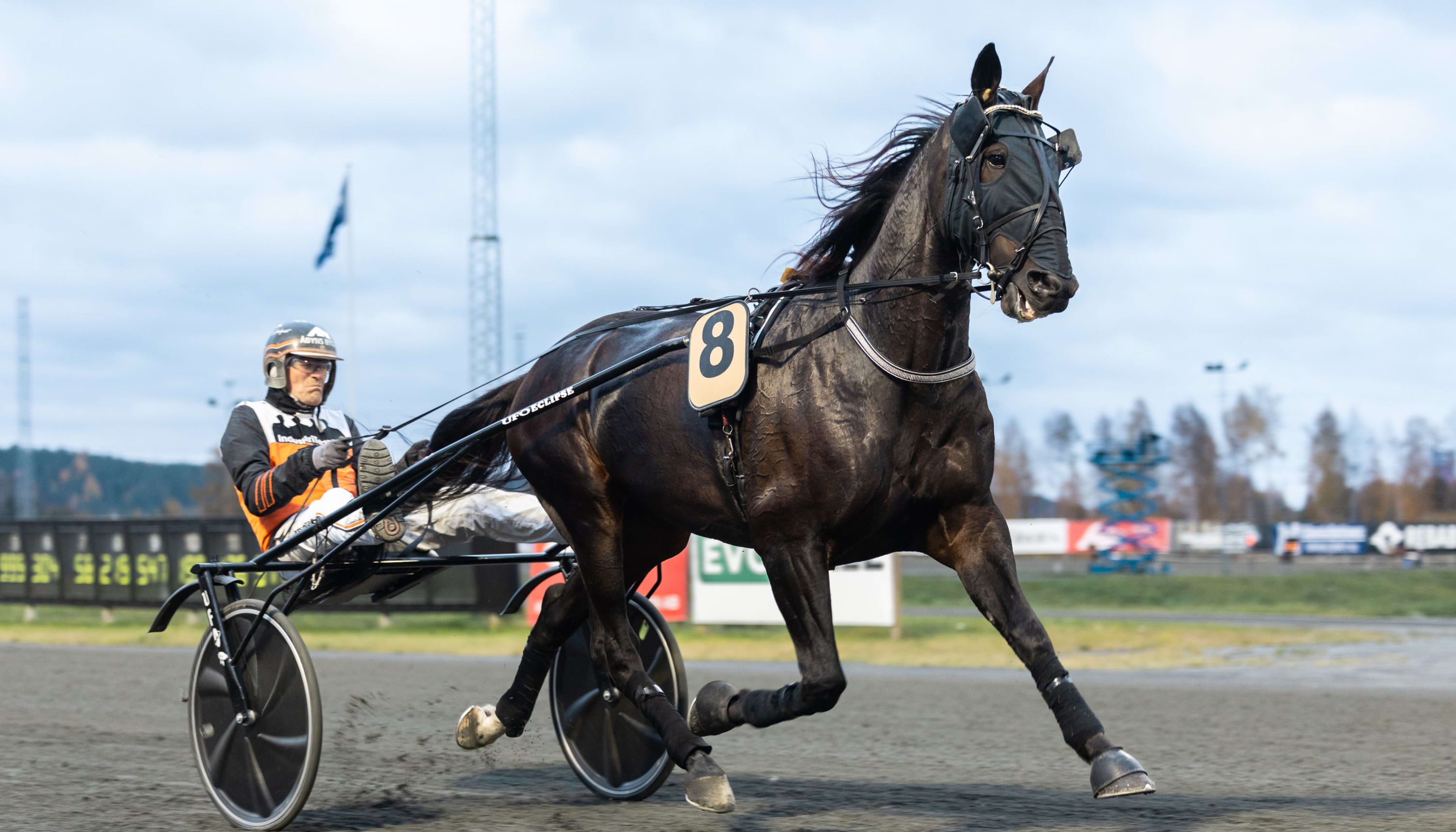 Foto: LENA EMMOTH / TR BILD