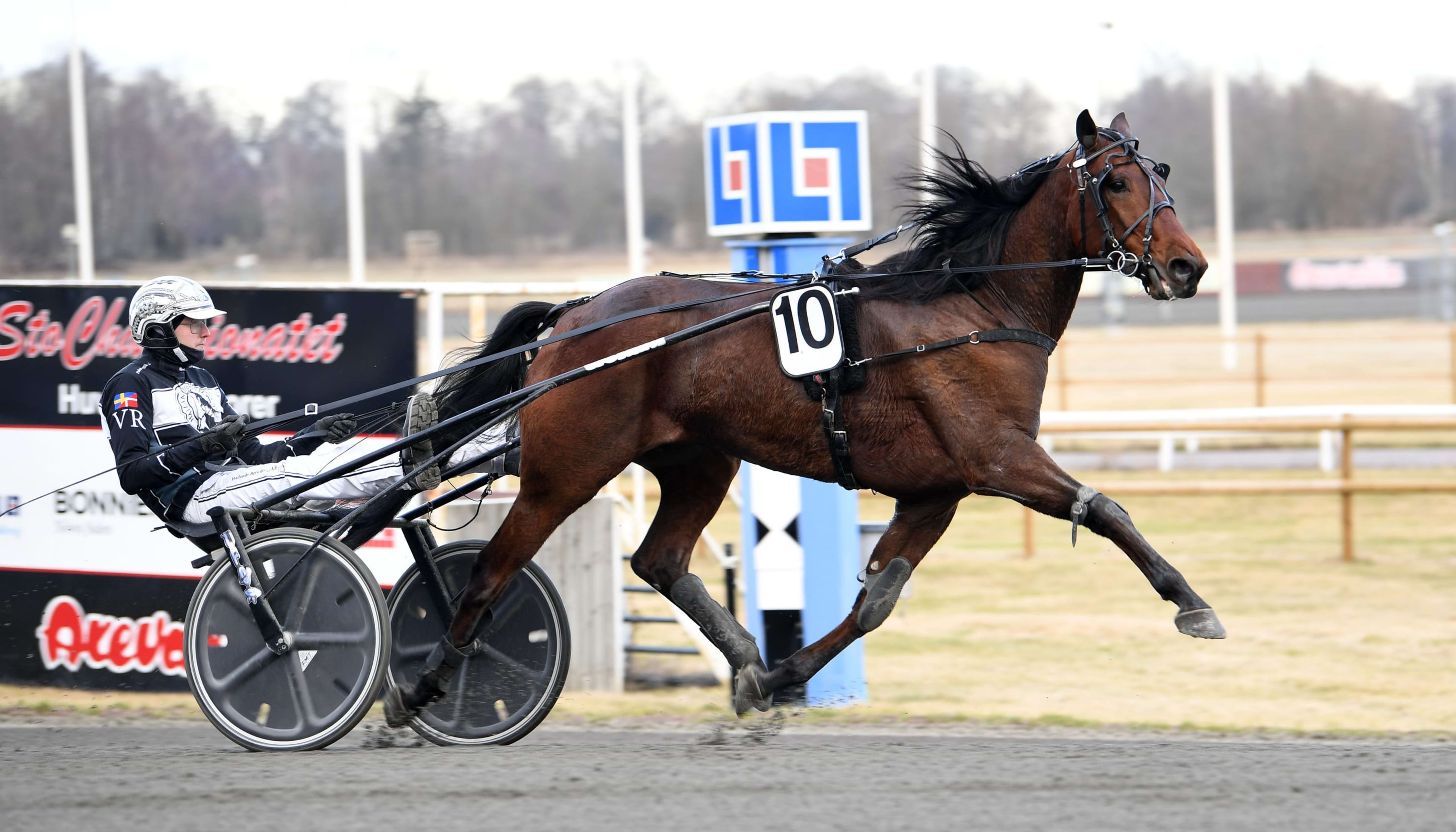 Foto: MALIN ALBINSSON / TR BILD