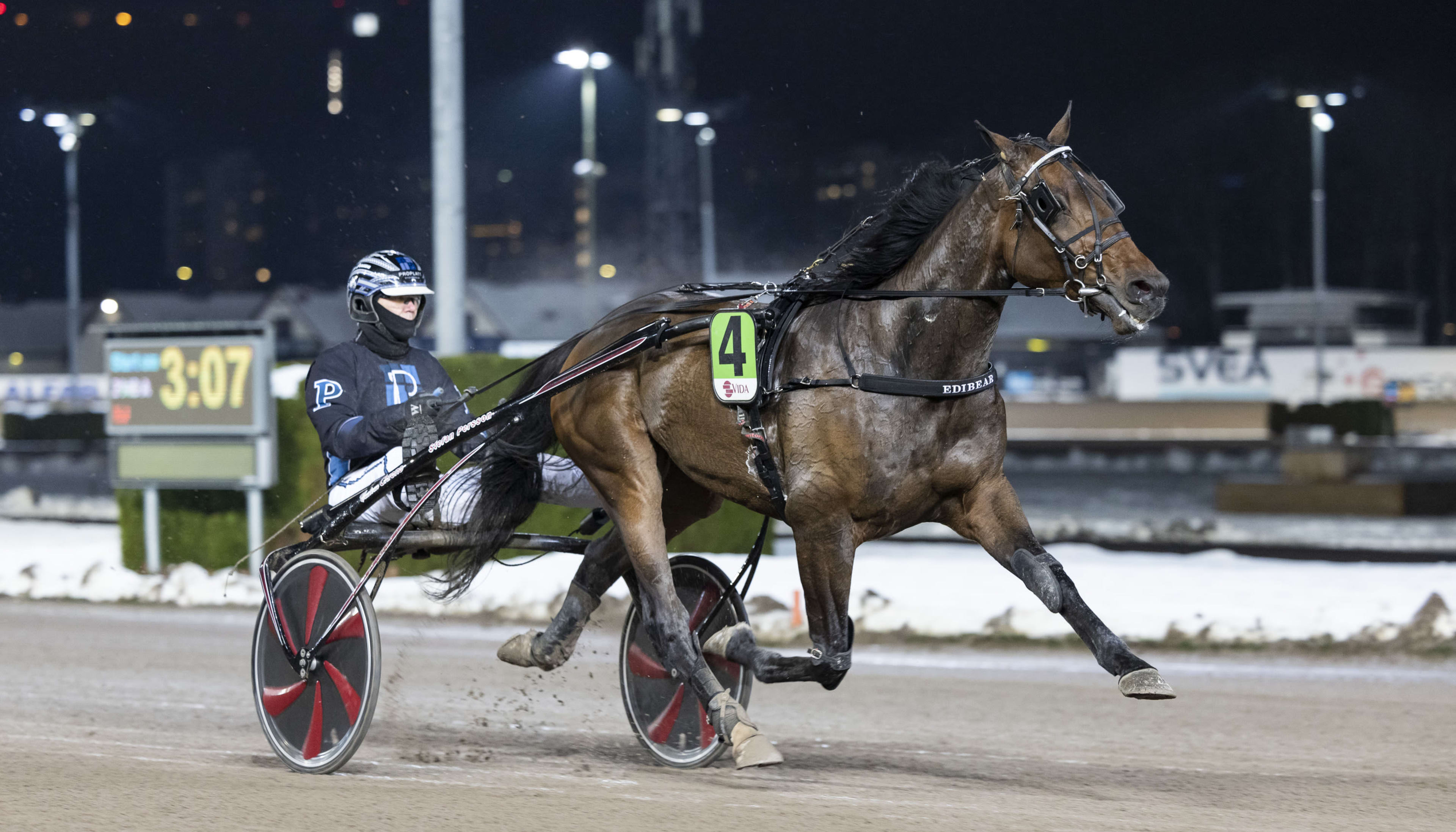 Foto: LENA EMMOTH / TR BILD