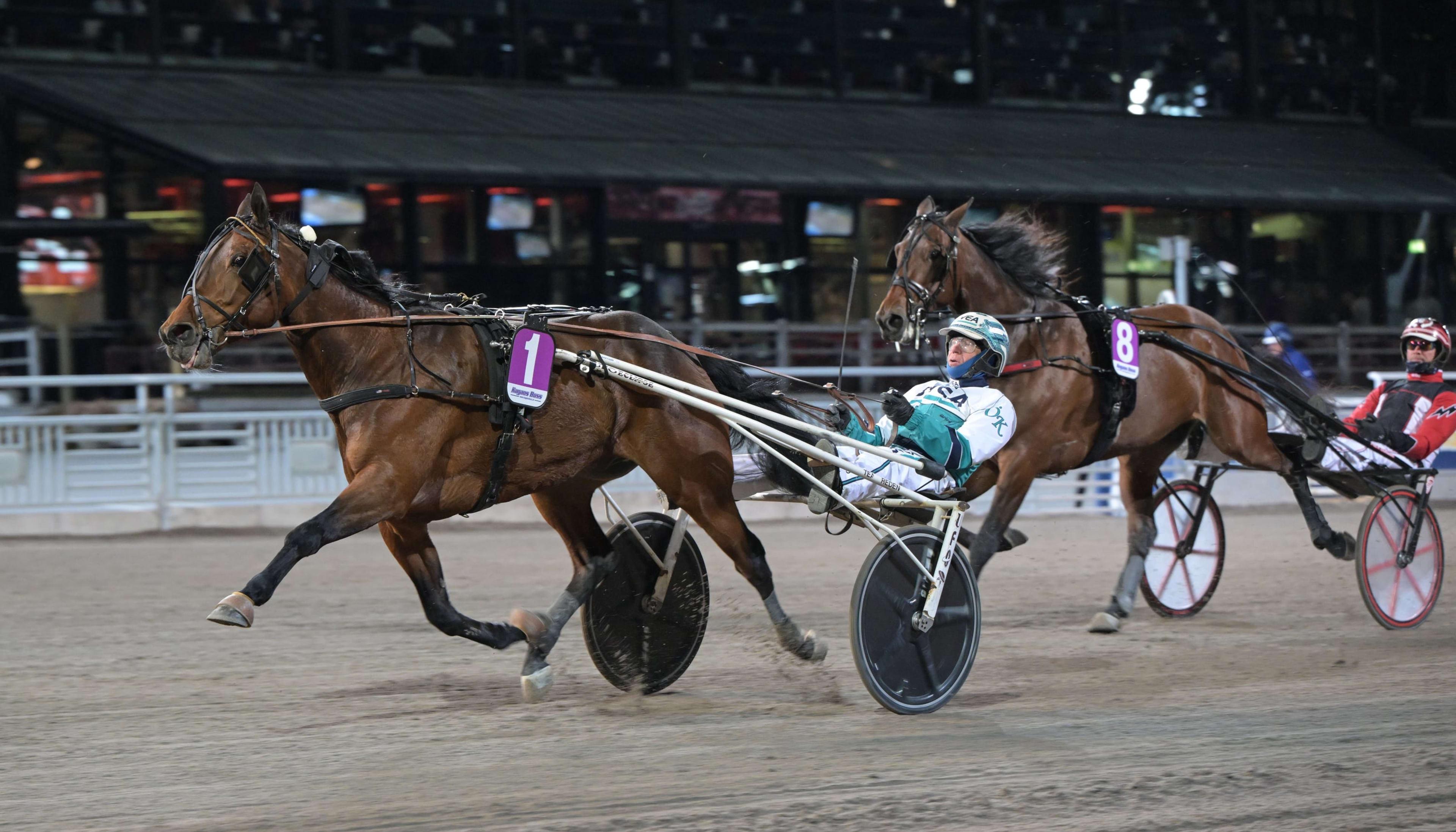 Foto: LARS JAKOBSSON / TR BILD