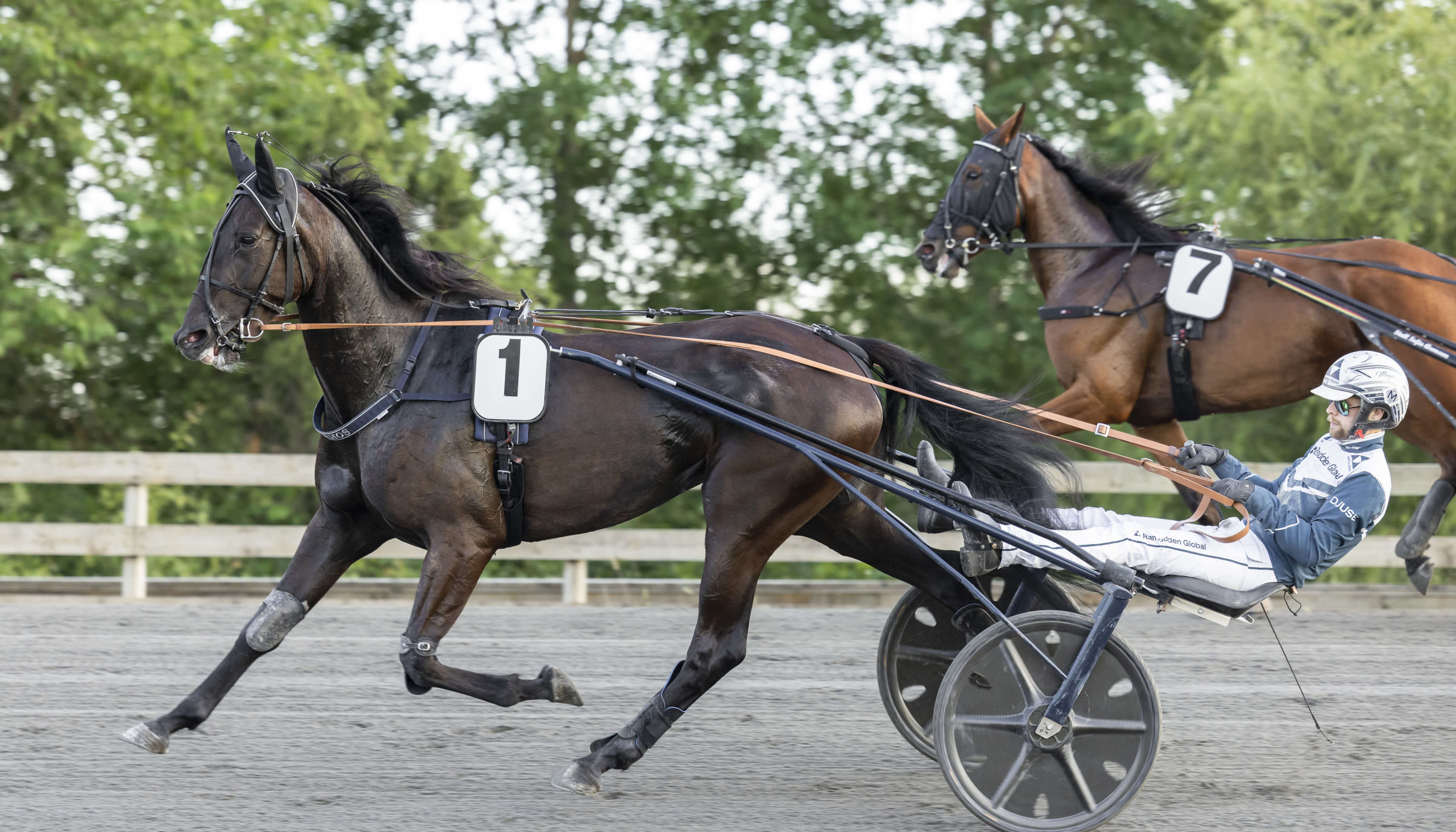Foto: LENA EMMOTH / TR BILD