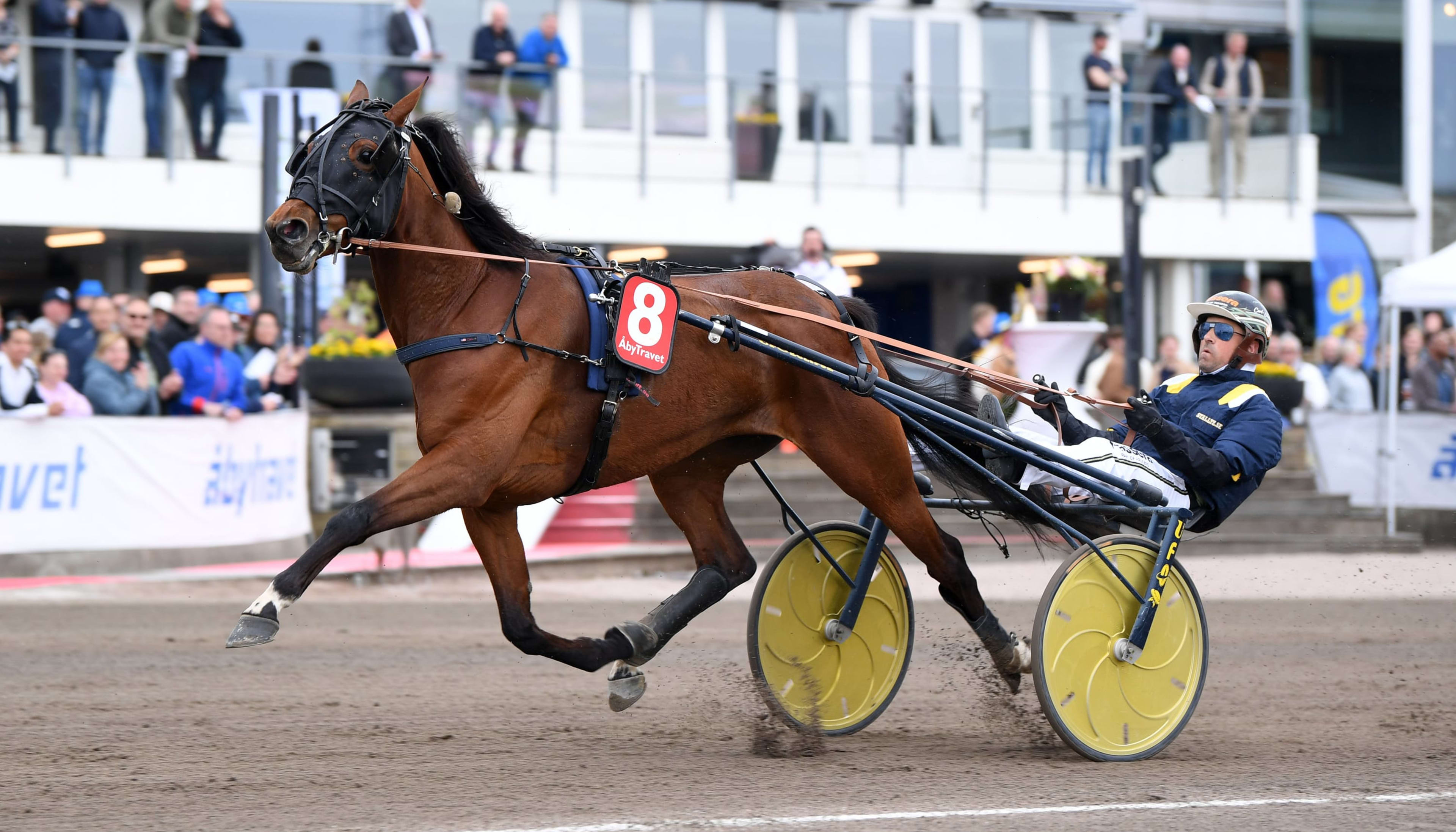 Foto: MALIN ALBINSSON / TR BILD