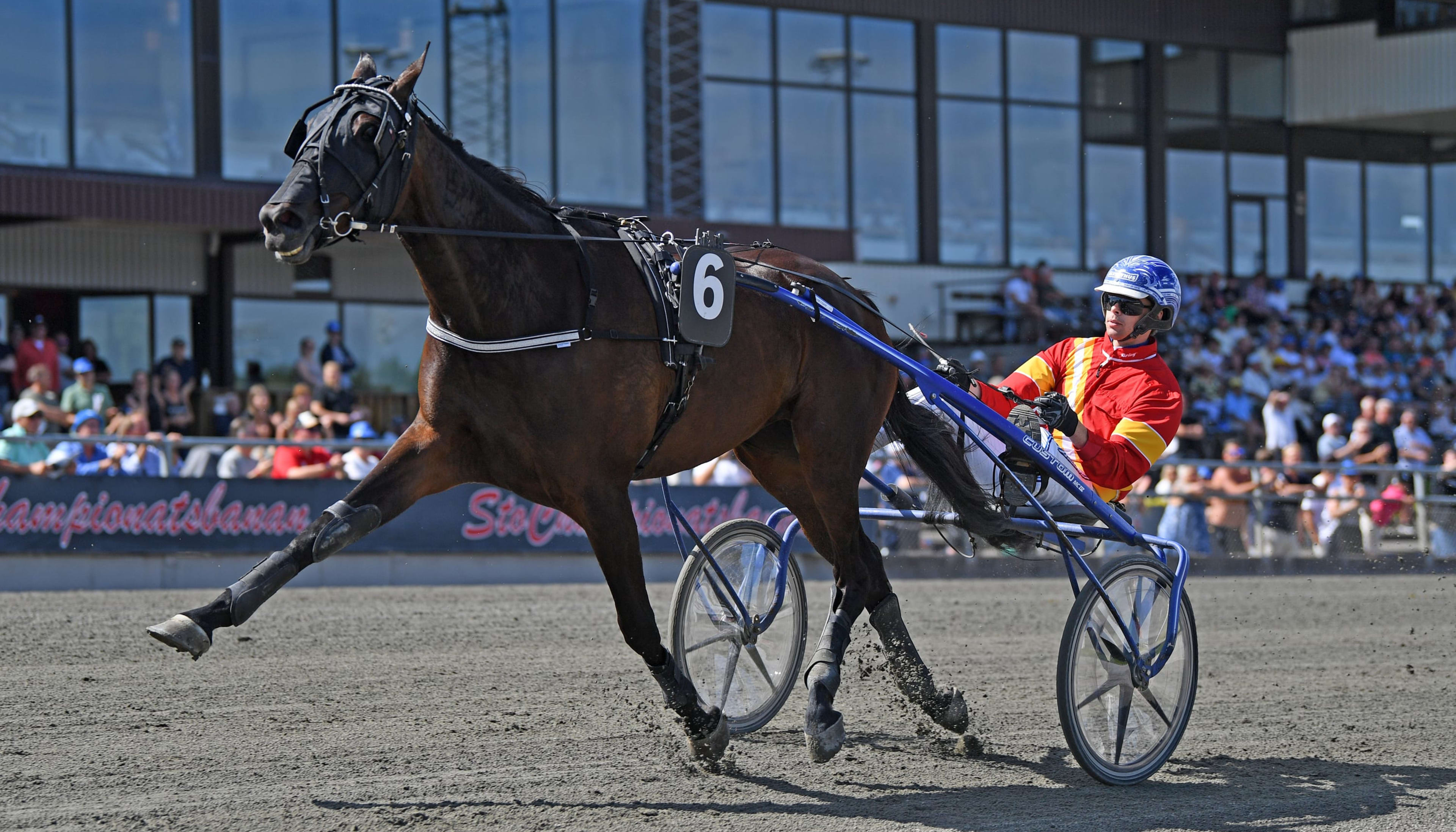 Foto: MALIN ALBINSSON / TR BILD