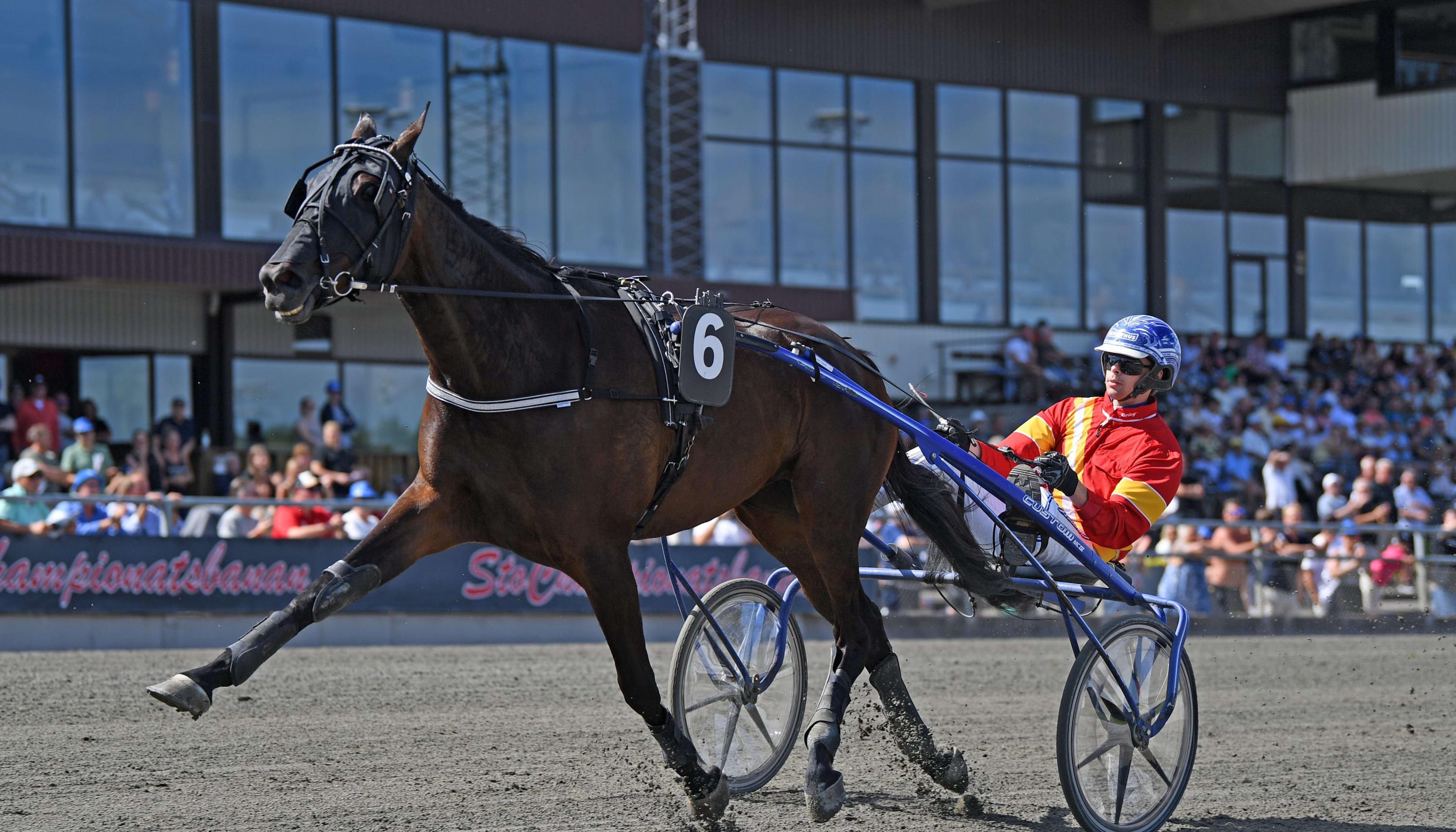 Foto: MALIN ALBINSSON / TR BILD