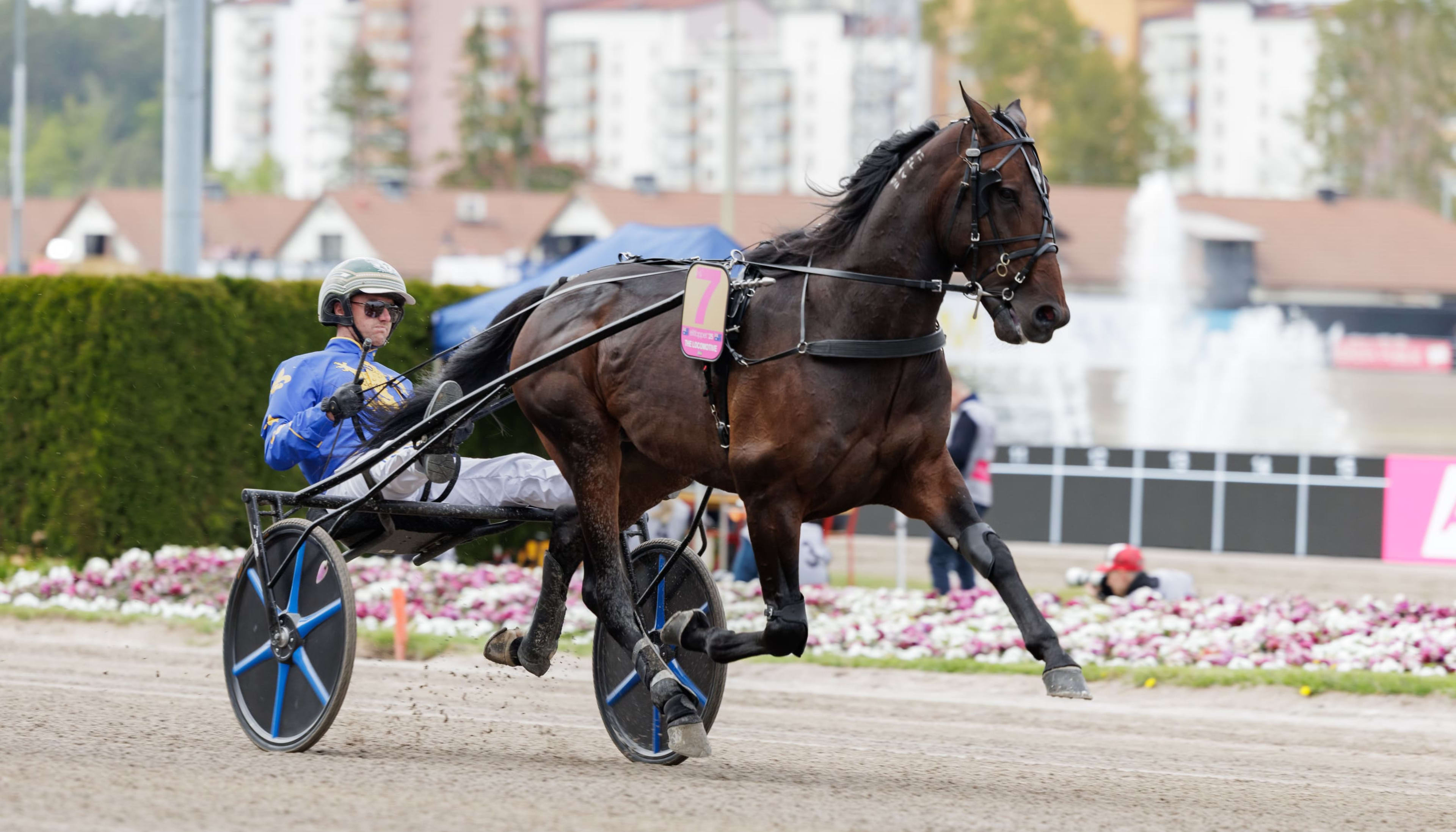 Foto: LENA EMMOTH / TR BILD